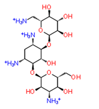 Pathogens 08 00128 i002 Pathogens 08 00128 i002