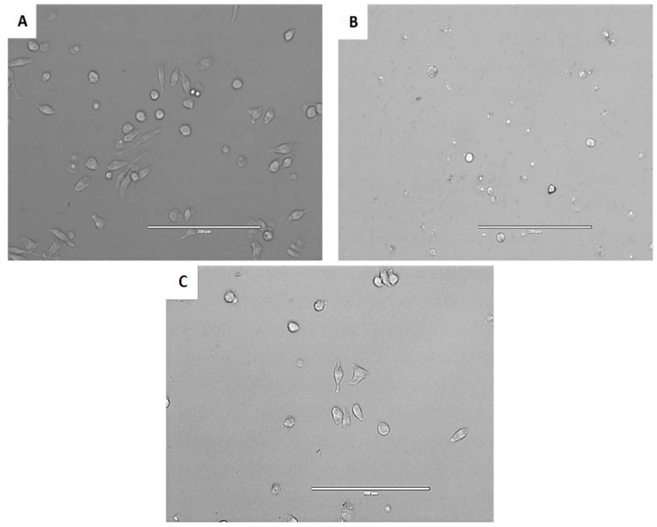Pathogens 08 00130 g003 Pathogens 08 00130 g003