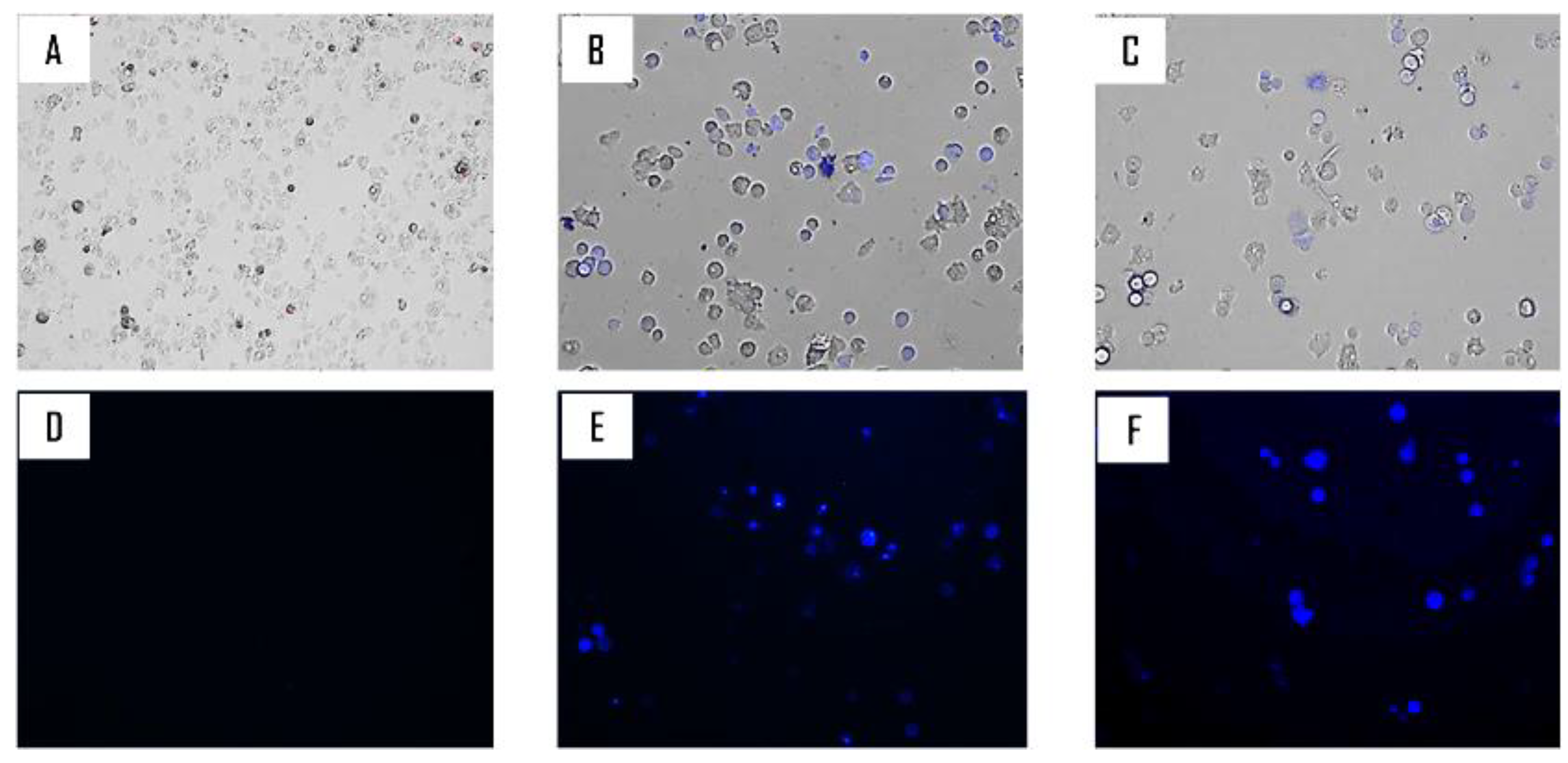 Pathogens 08 00130 g005 Pathogens 08 00130 g005
