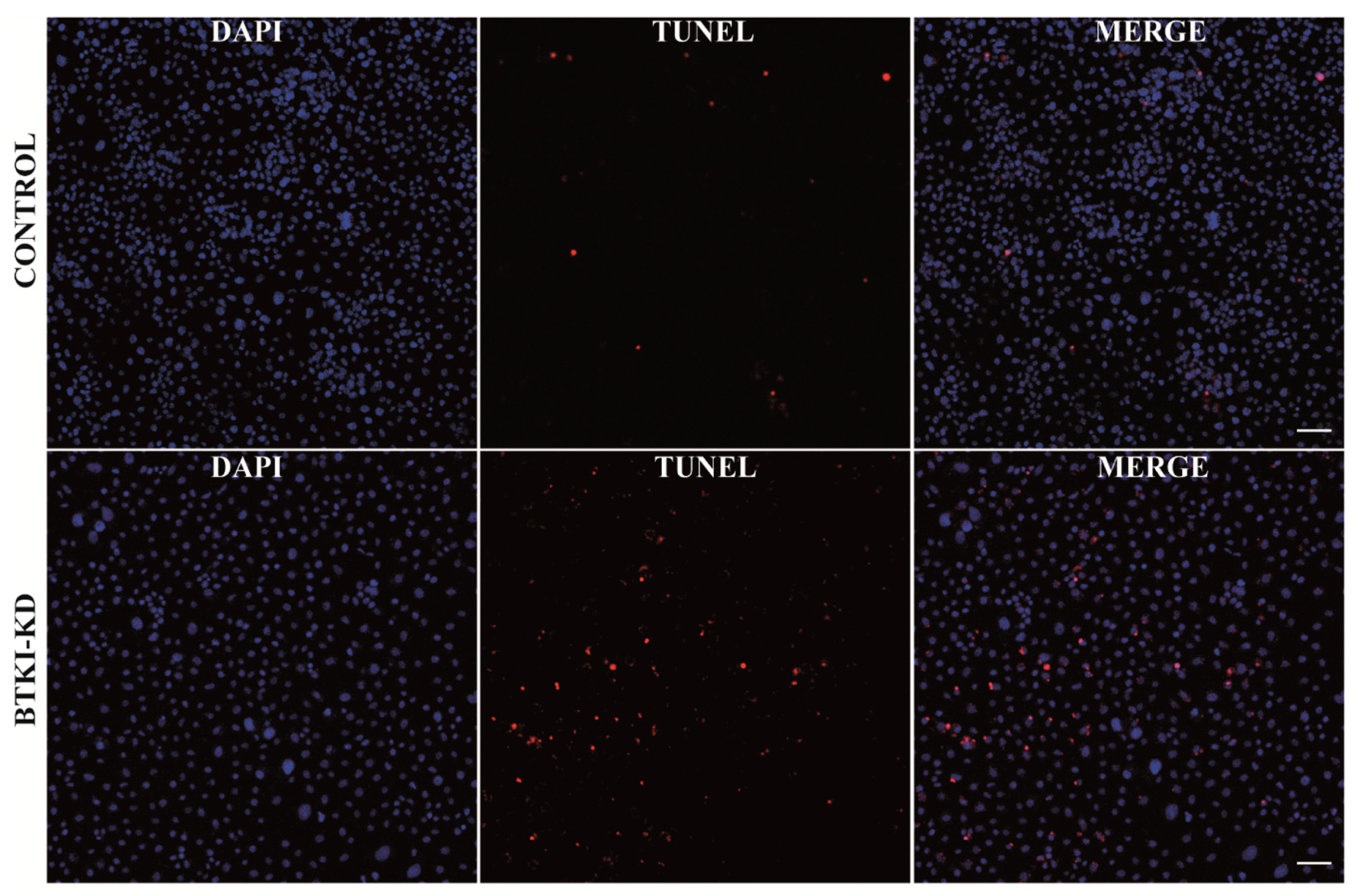 Pathogens 08 00132 g004 Pathogens 08 00132 g004