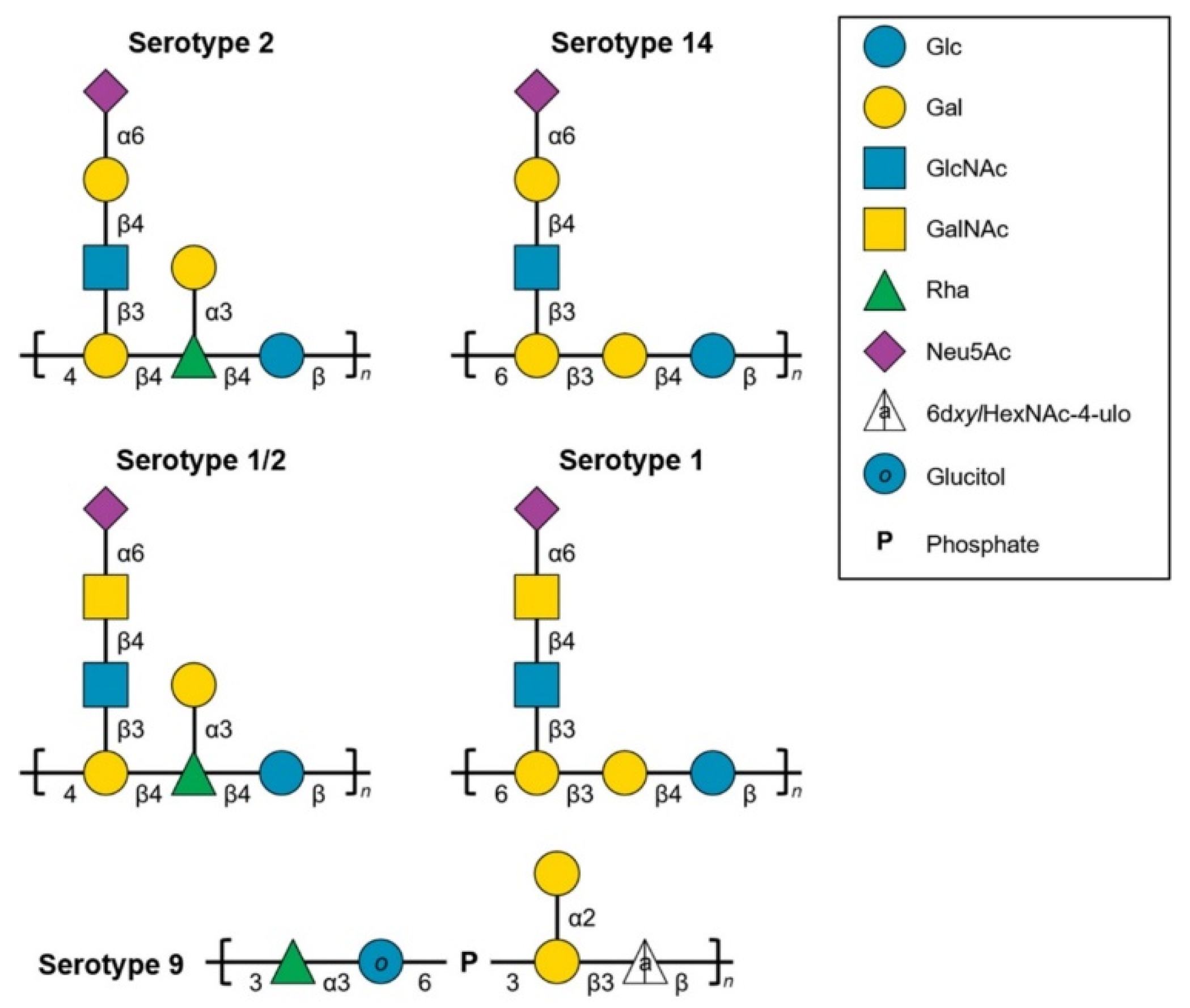 Pathogens 08 00139 g001 Pathogens 08 00139 g001