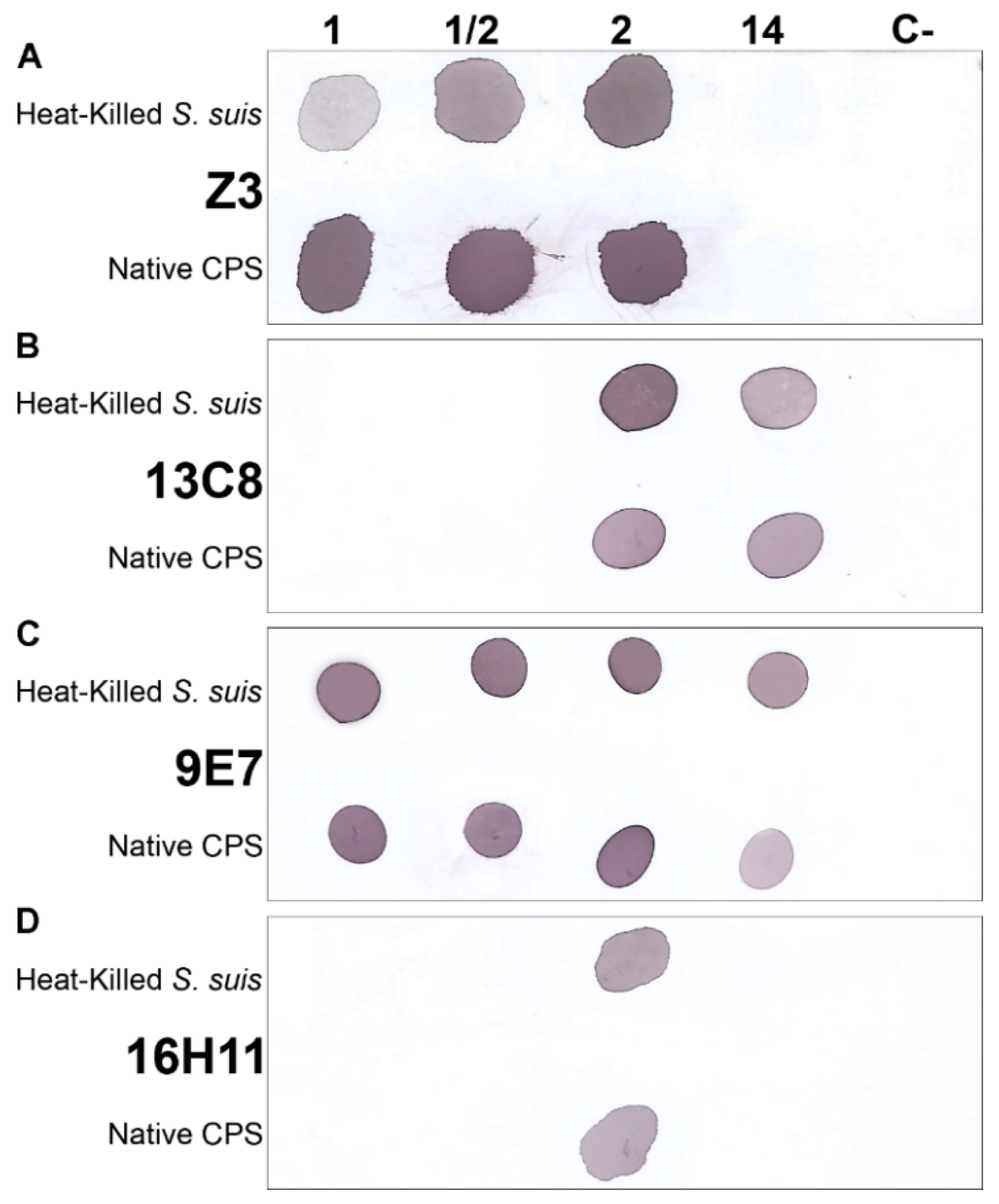 Pathogens 08 00139 g003 Pathogens 08 00139 g003