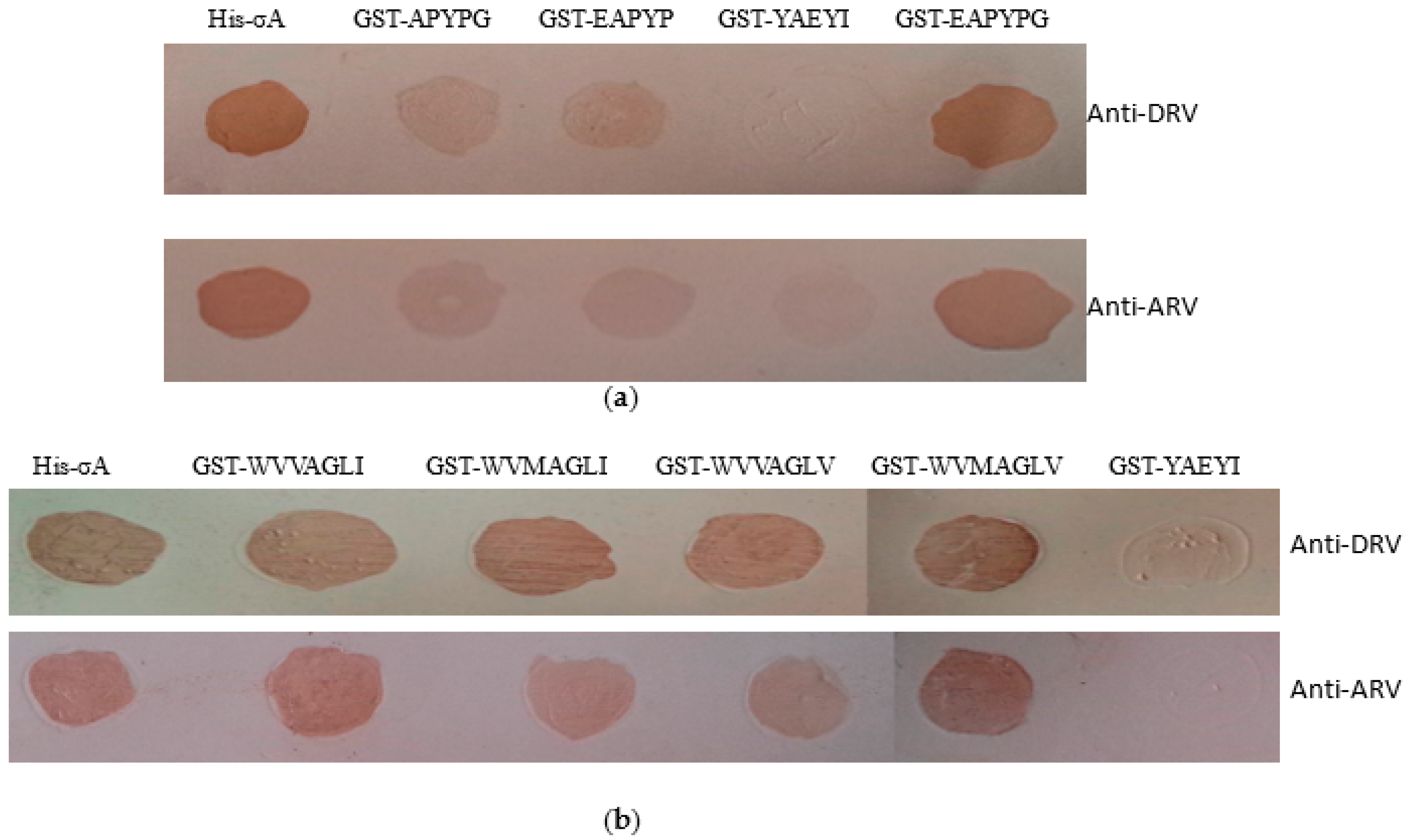 Pathogens 08 00140 g006 Pathogens 08 00140 g006
