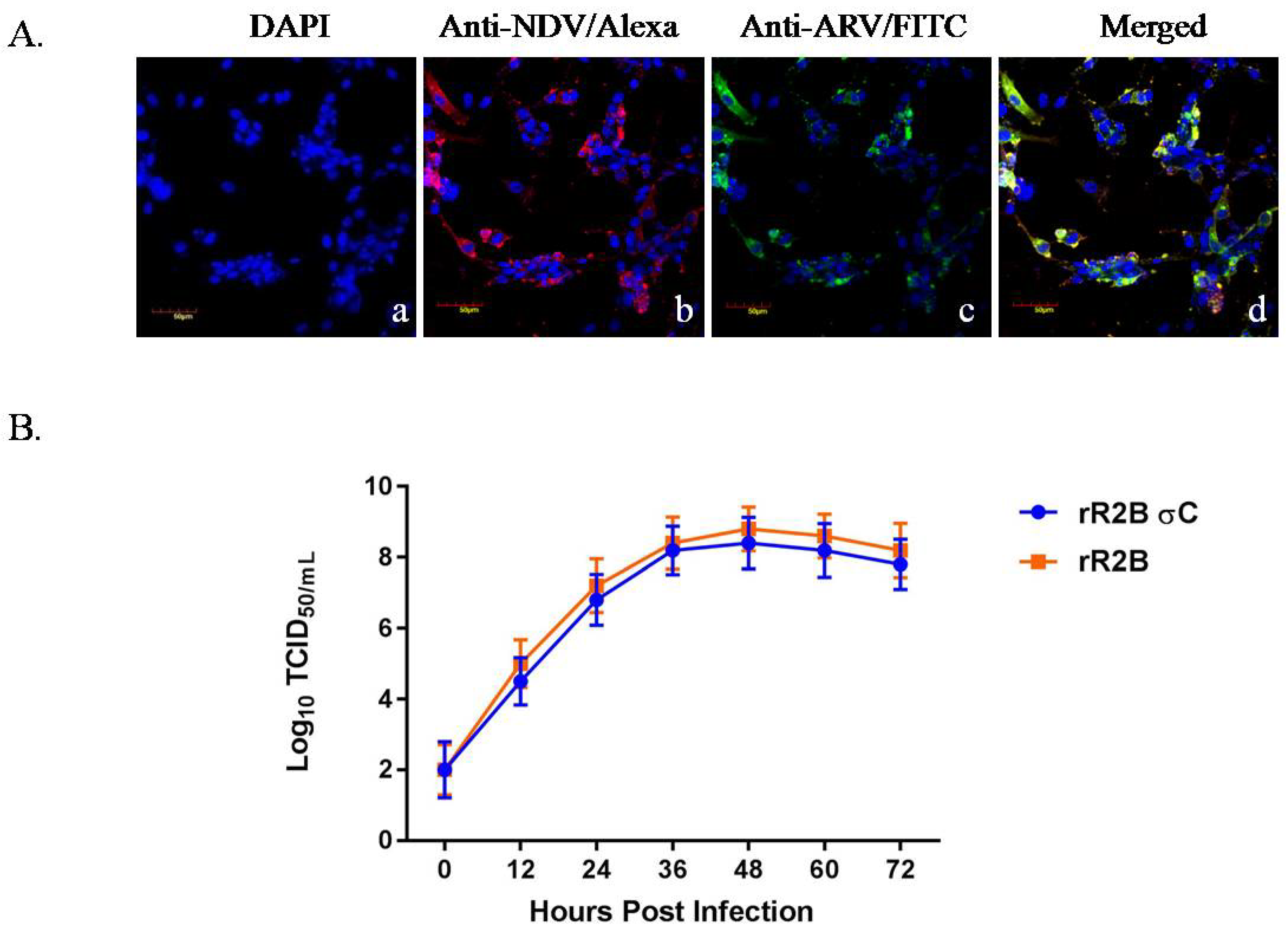 Pathogens 08 00145 g002