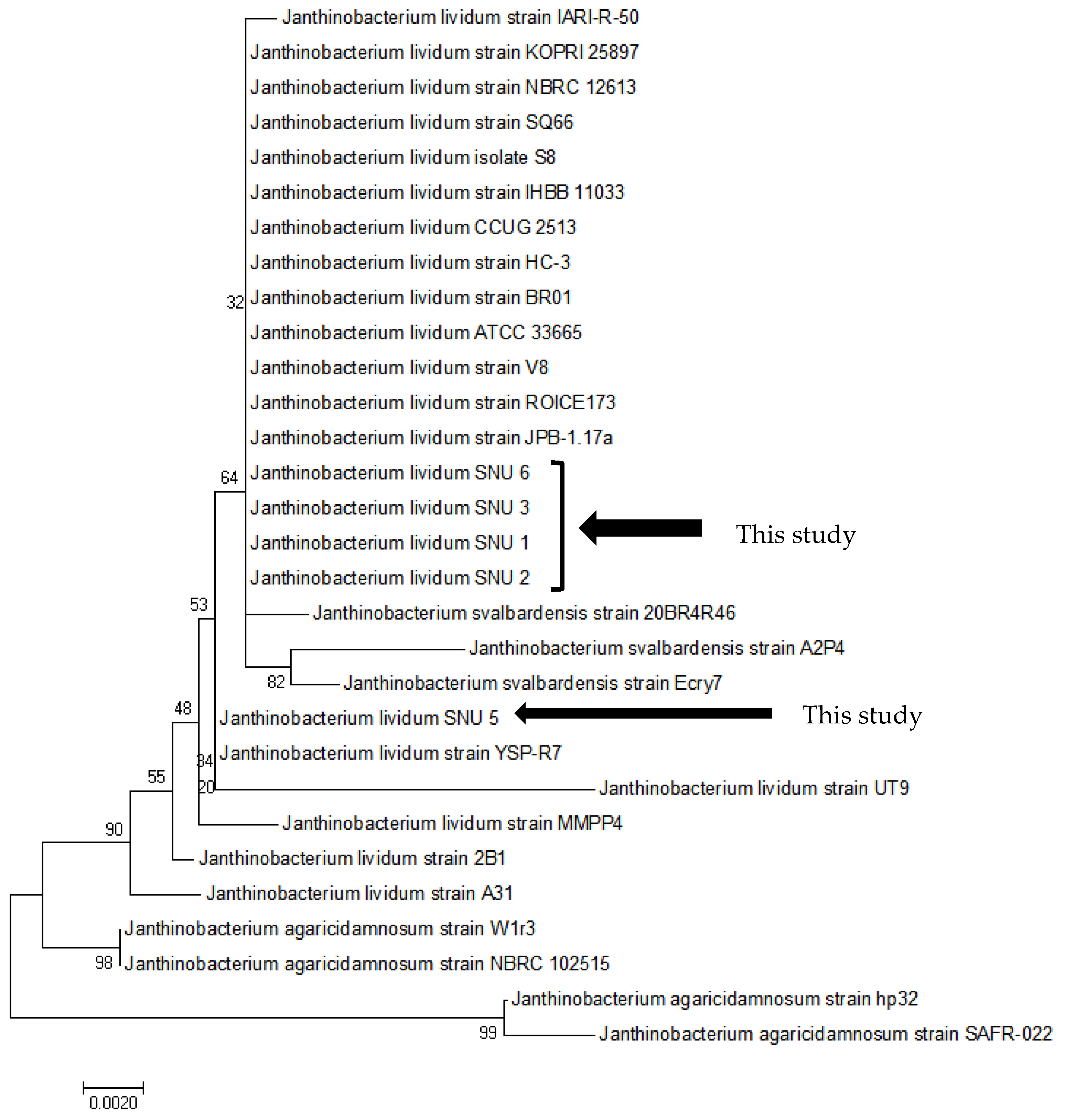 Pathogens 08 00146 g001