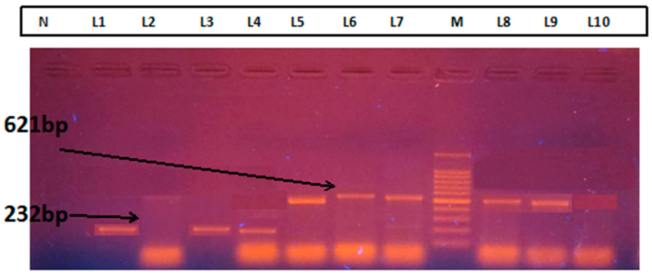 Pathogens 08 00151 g004