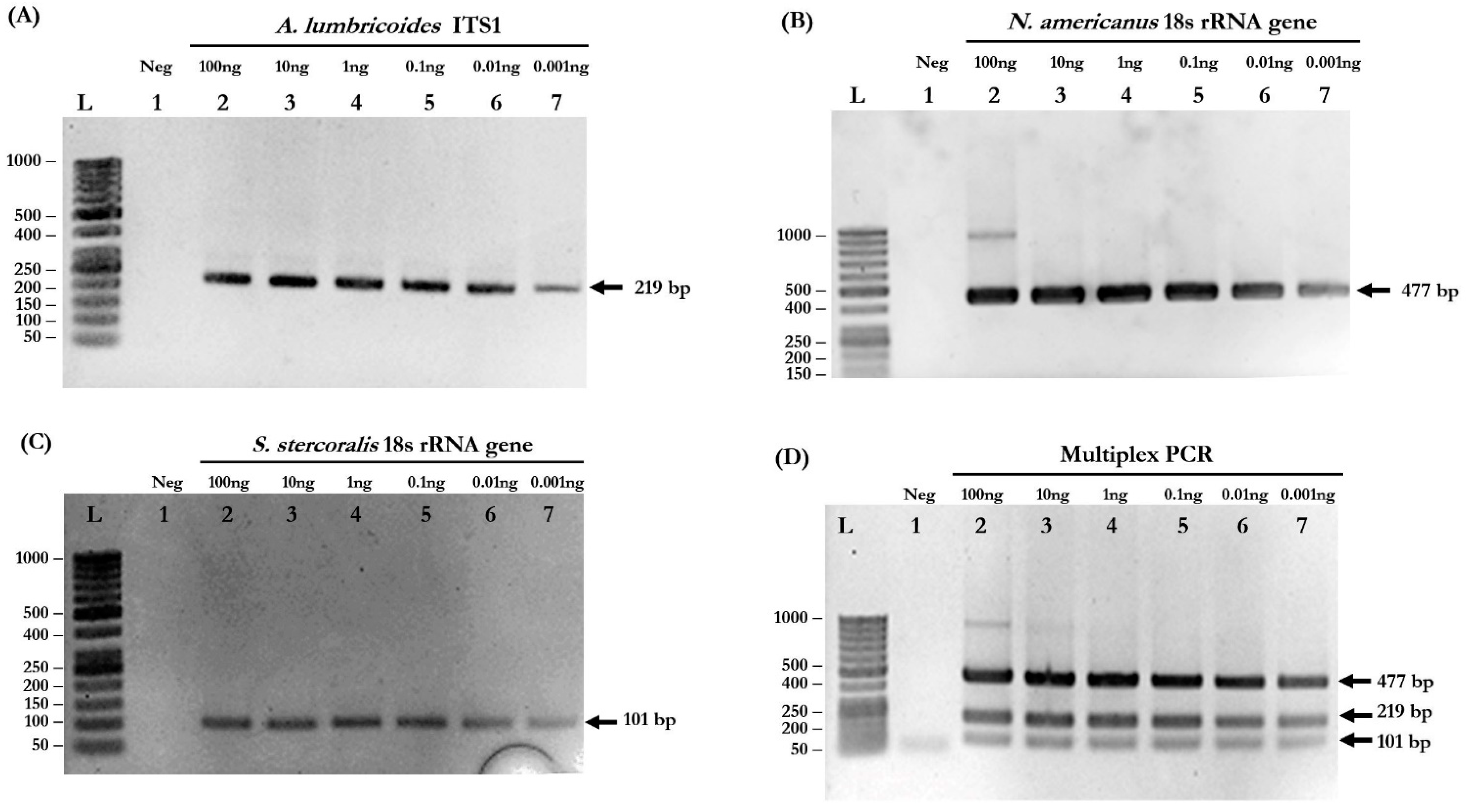 Pathogens 08 00152 g001 Pathogens 08 00152 g001