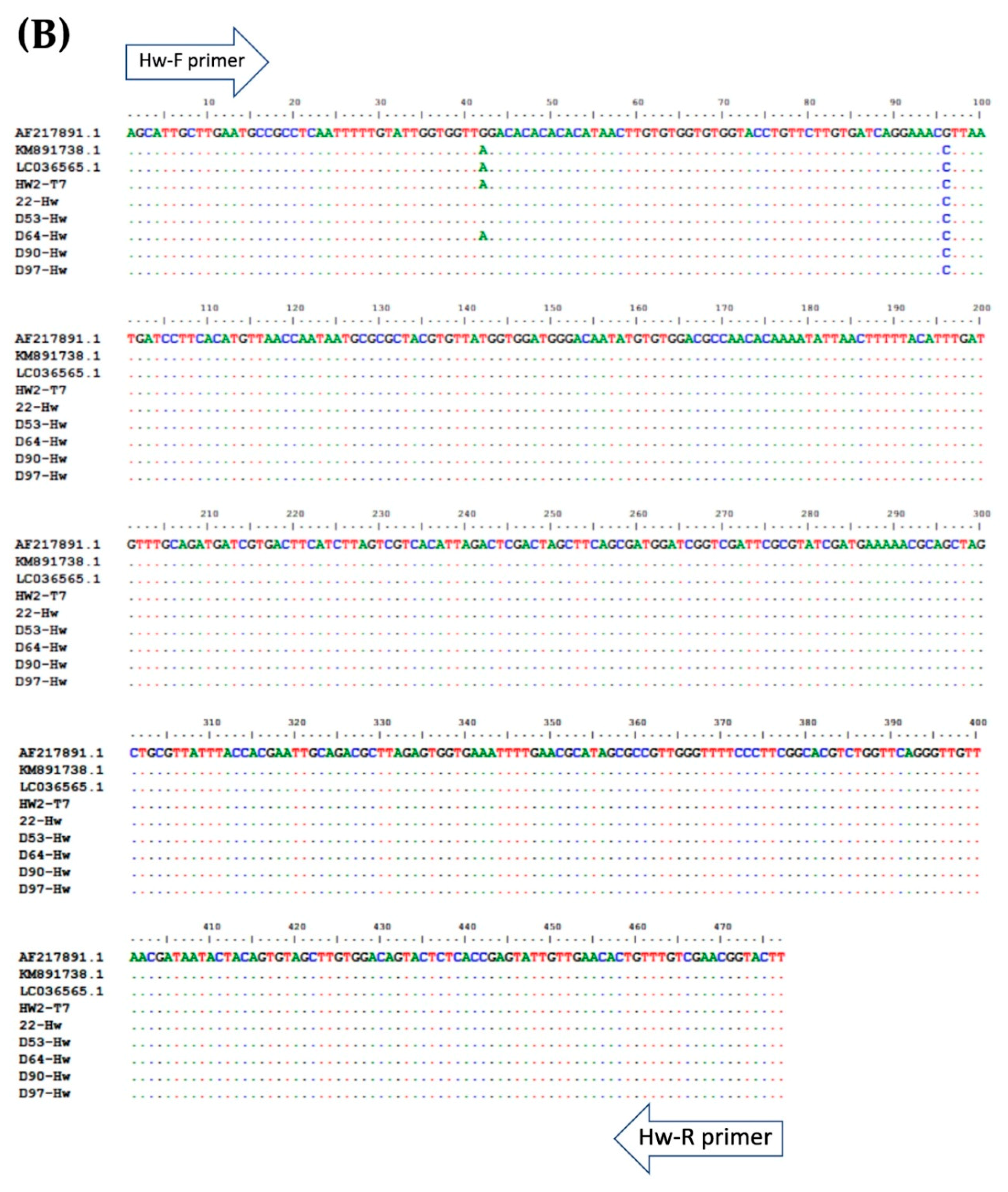 Pathogens 08 00152 g004b Pathogens 08 00152 g004b