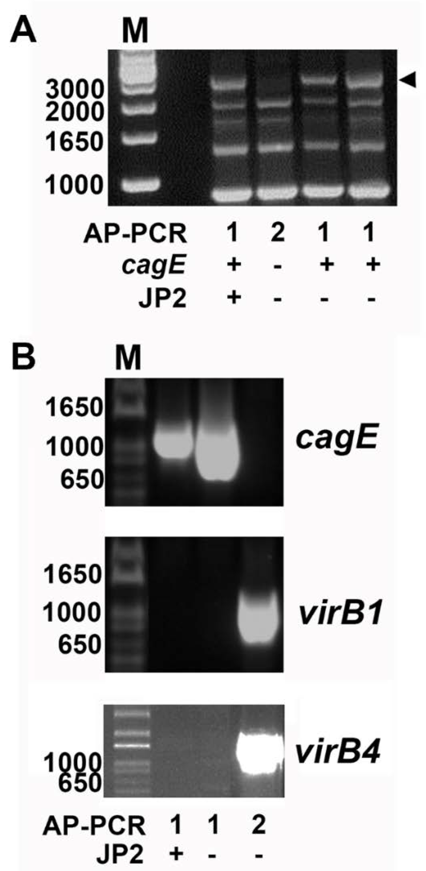 Pathogens 08 00153 g001