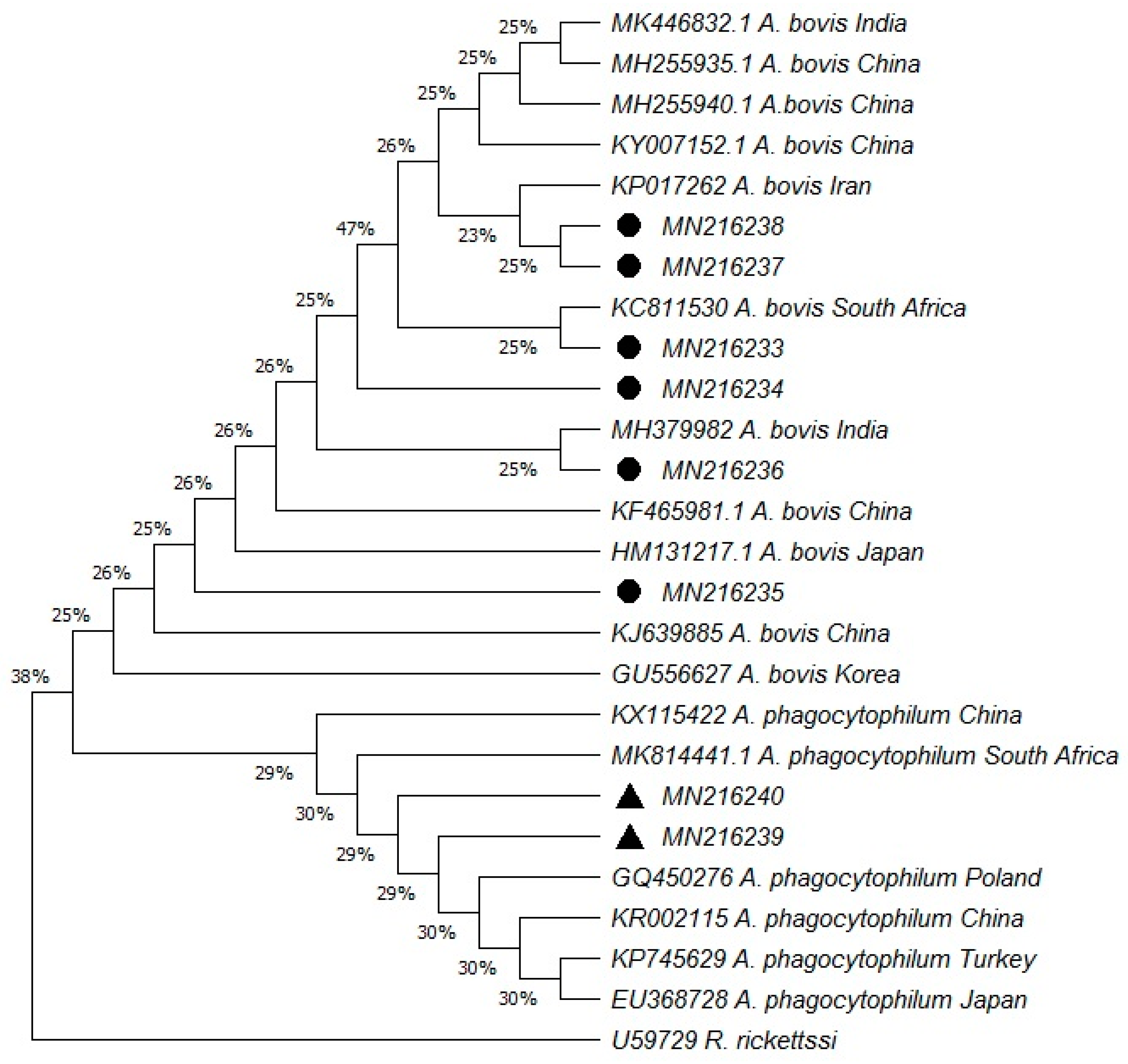 Pathogens 08 00155 g001