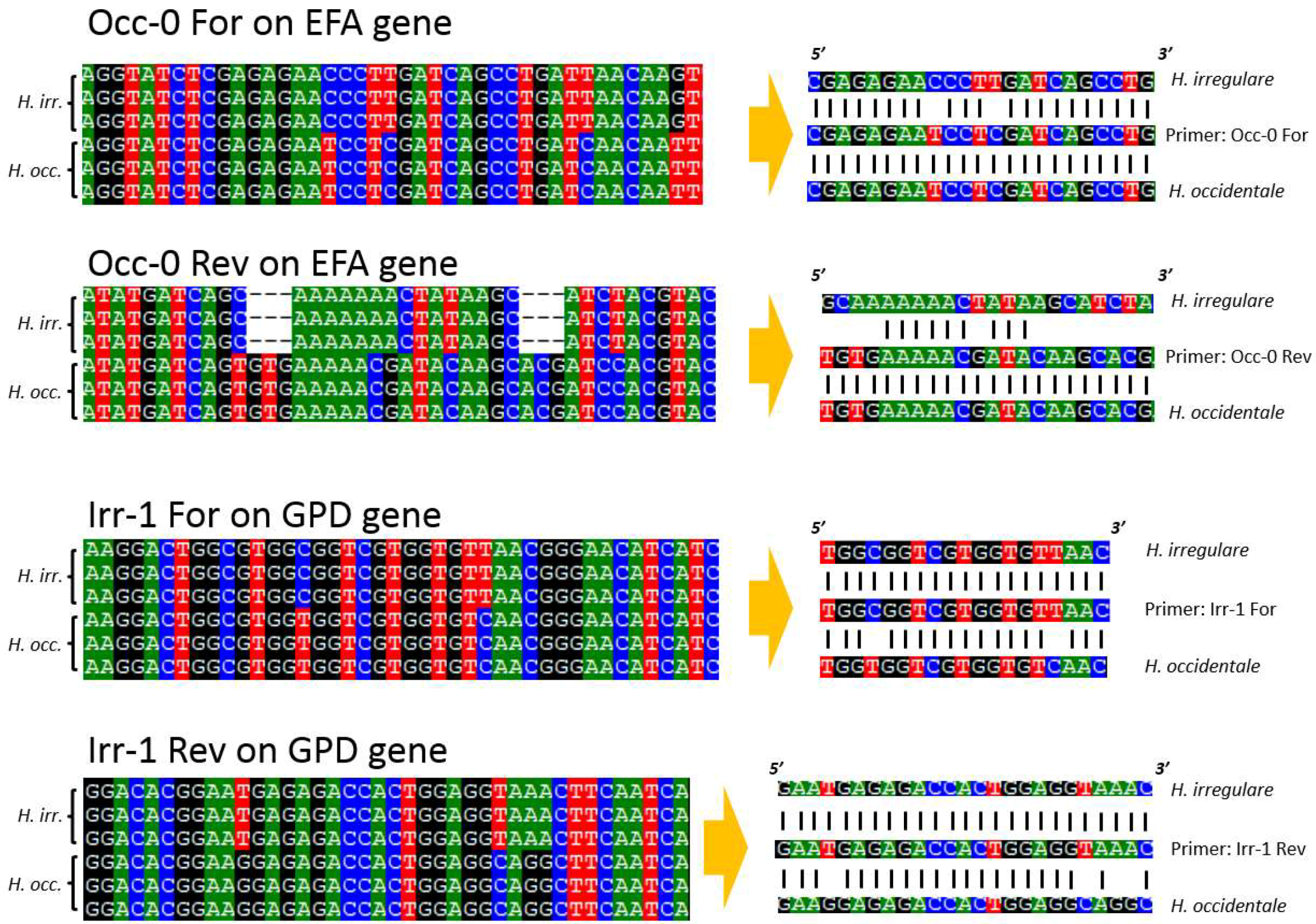 Pathogens 08 00156 g001