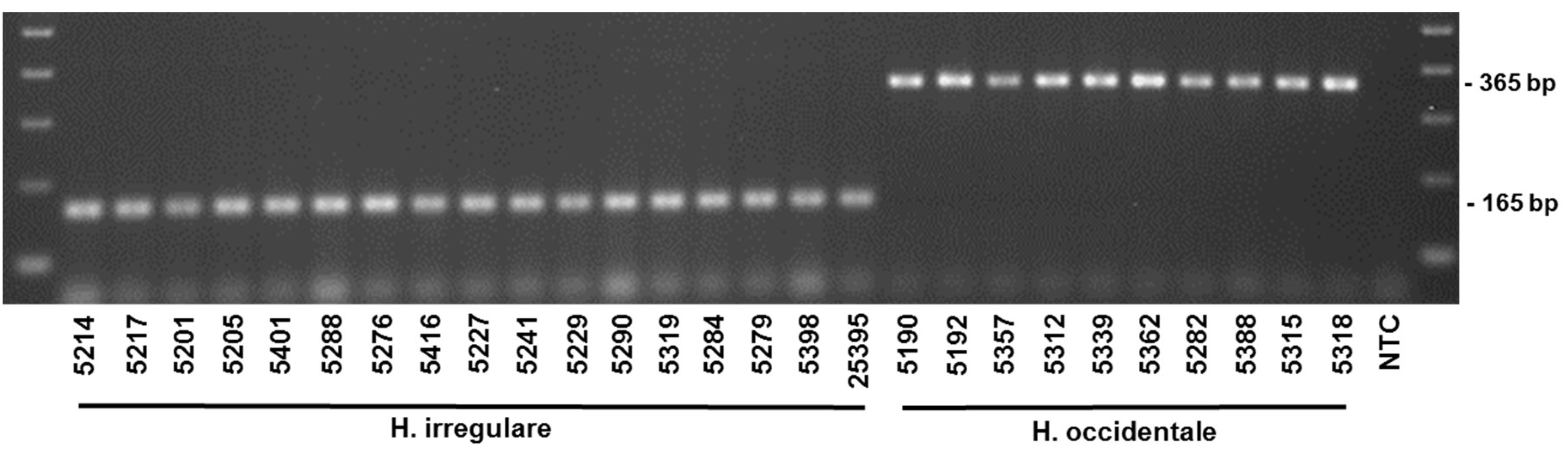 Pathogens 08 00156 g002