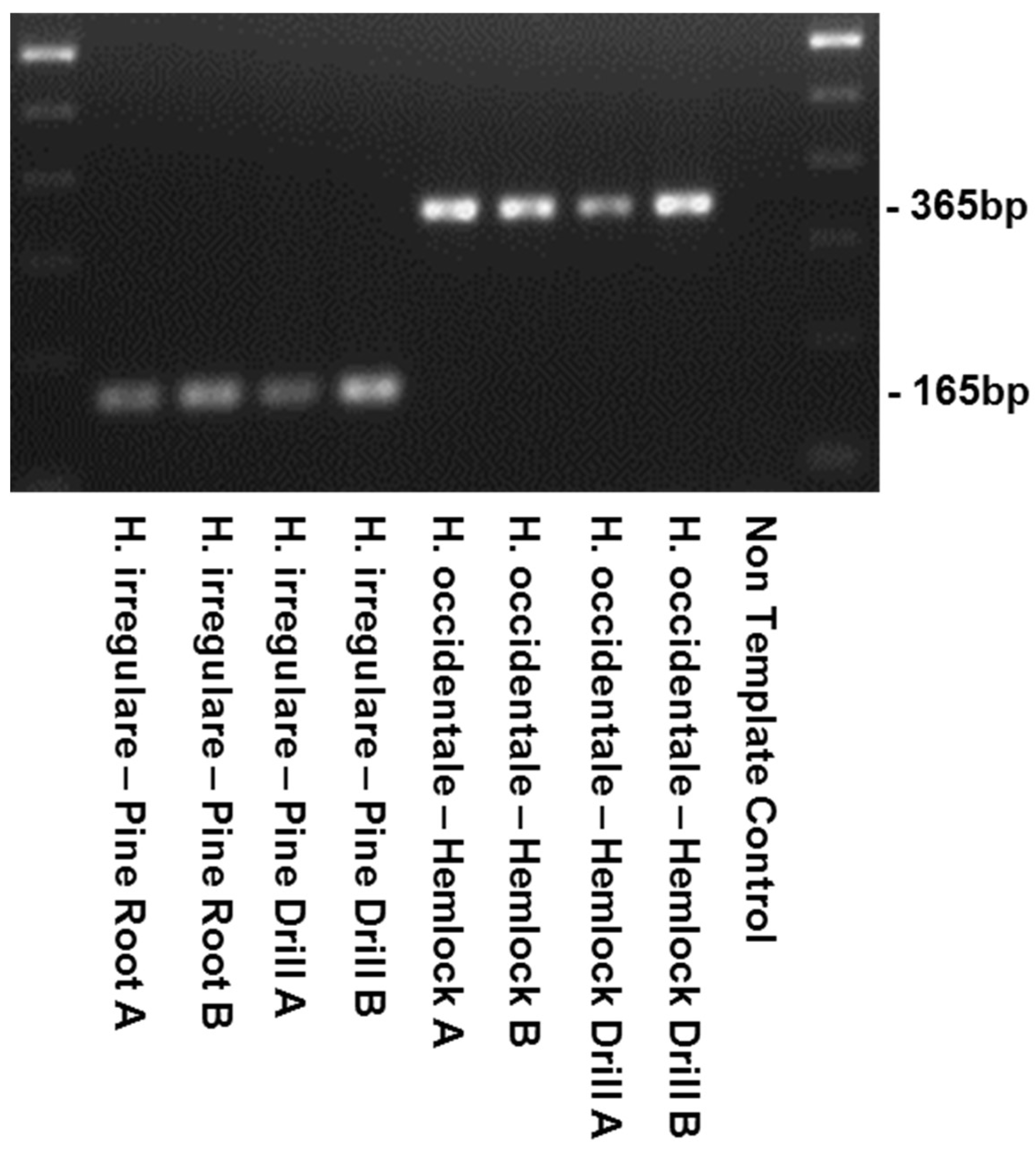 Pathogens 08 00156 g003