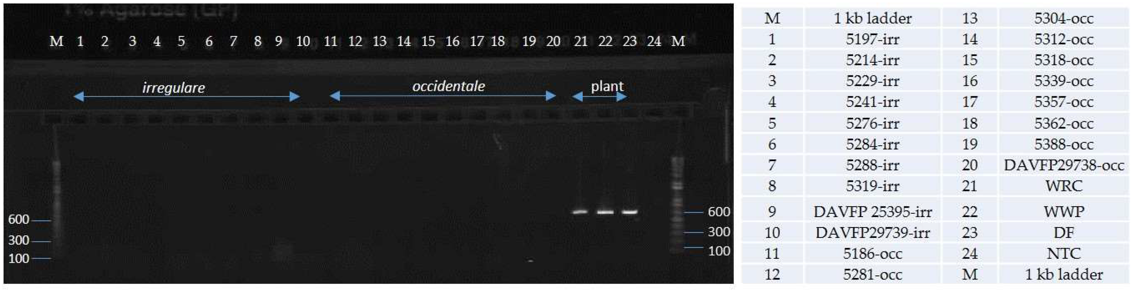 Pathogens 08 00156 g005