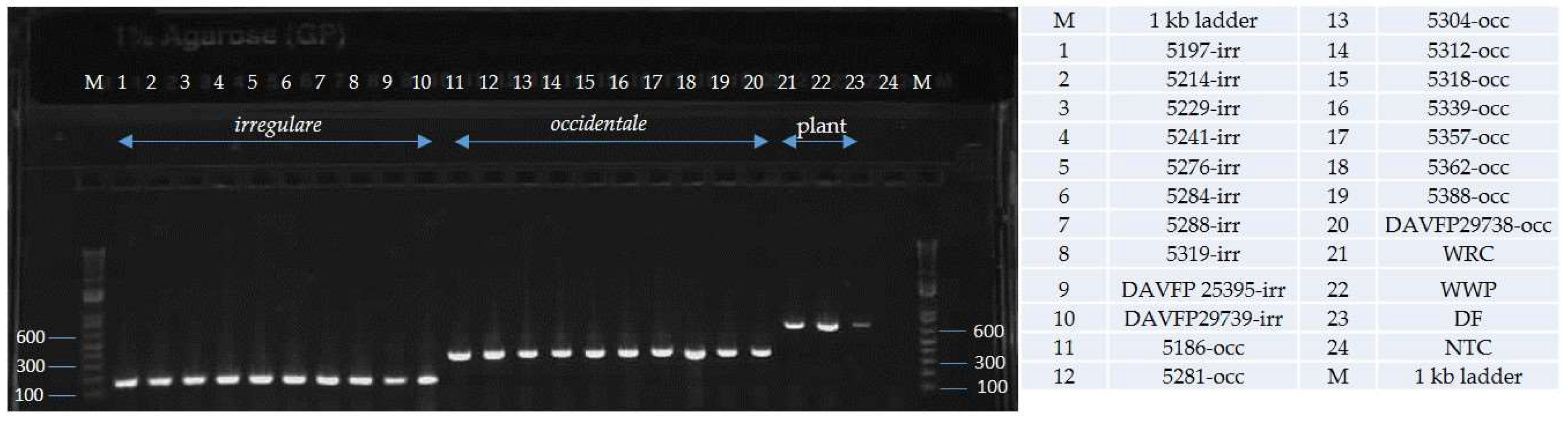 Pathogens 08 00156 g007