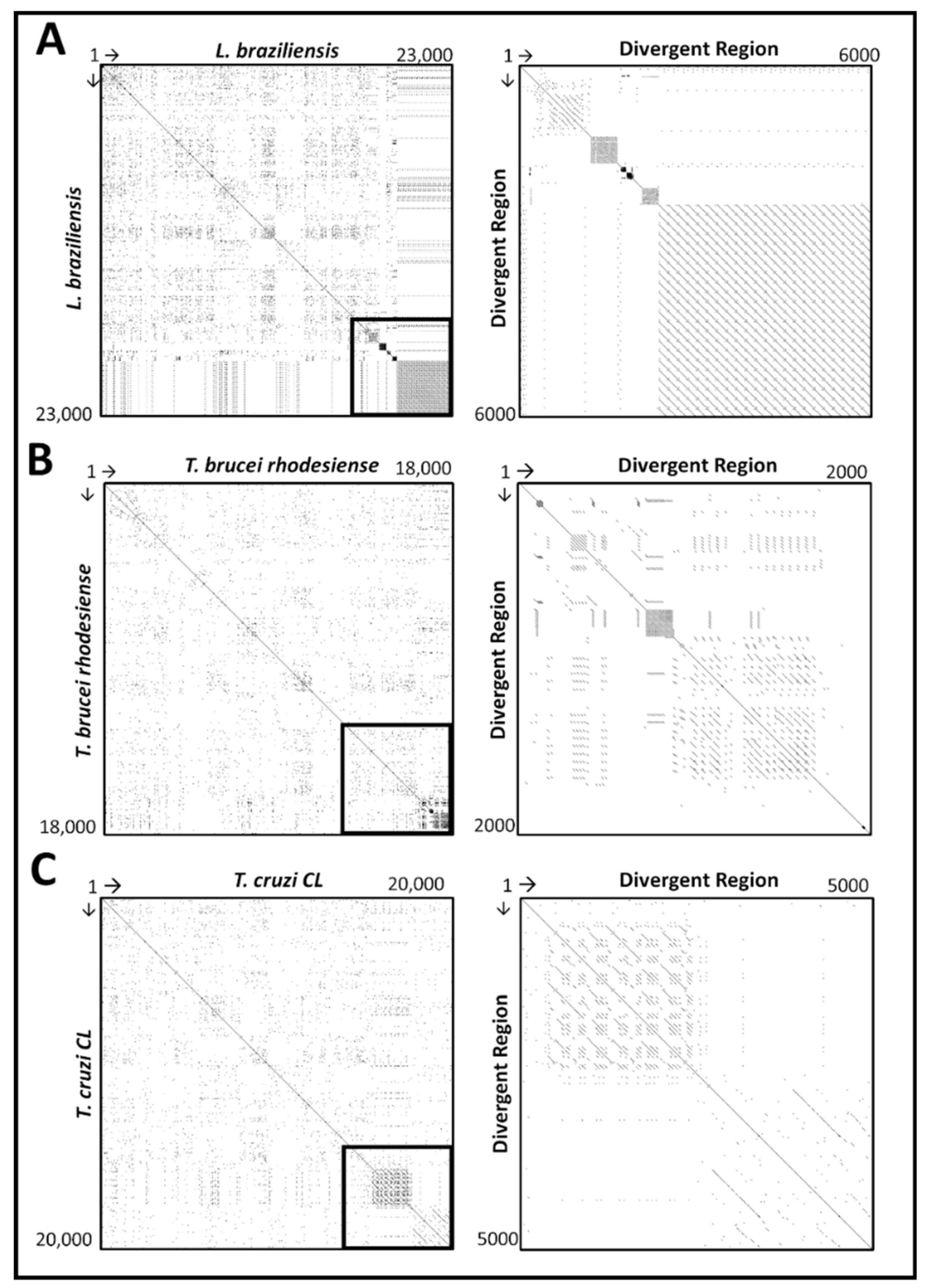 Pathogens 08 00157 g003 Pathogens 08 00157 g003