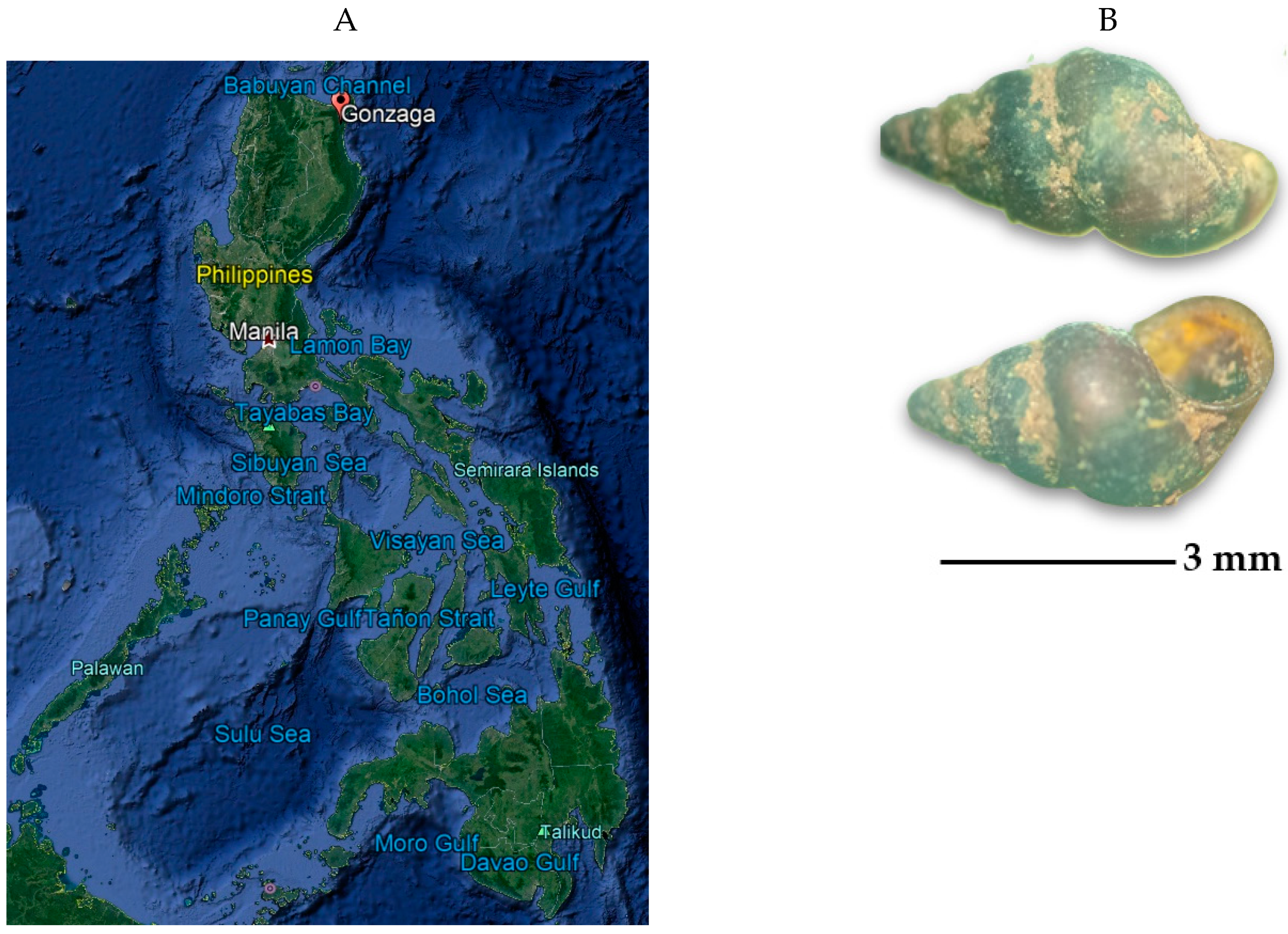 Pathogens 08 00160 g001 Pathogens 08 00160 g001