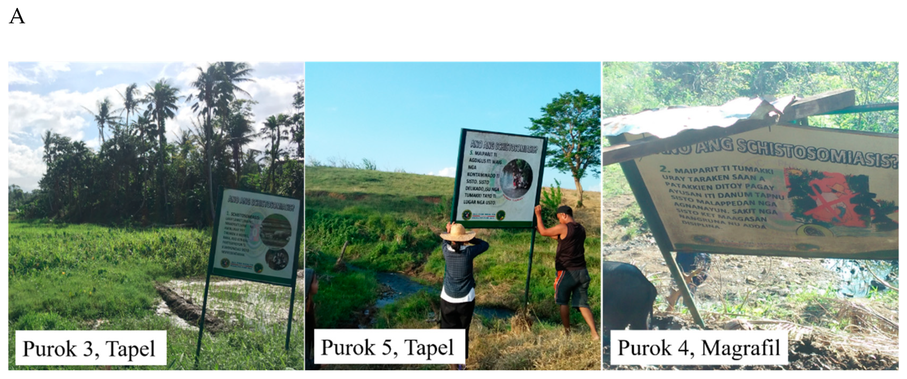 Pathogens 08 00160 g002a Pathogens 08 00160 g002a