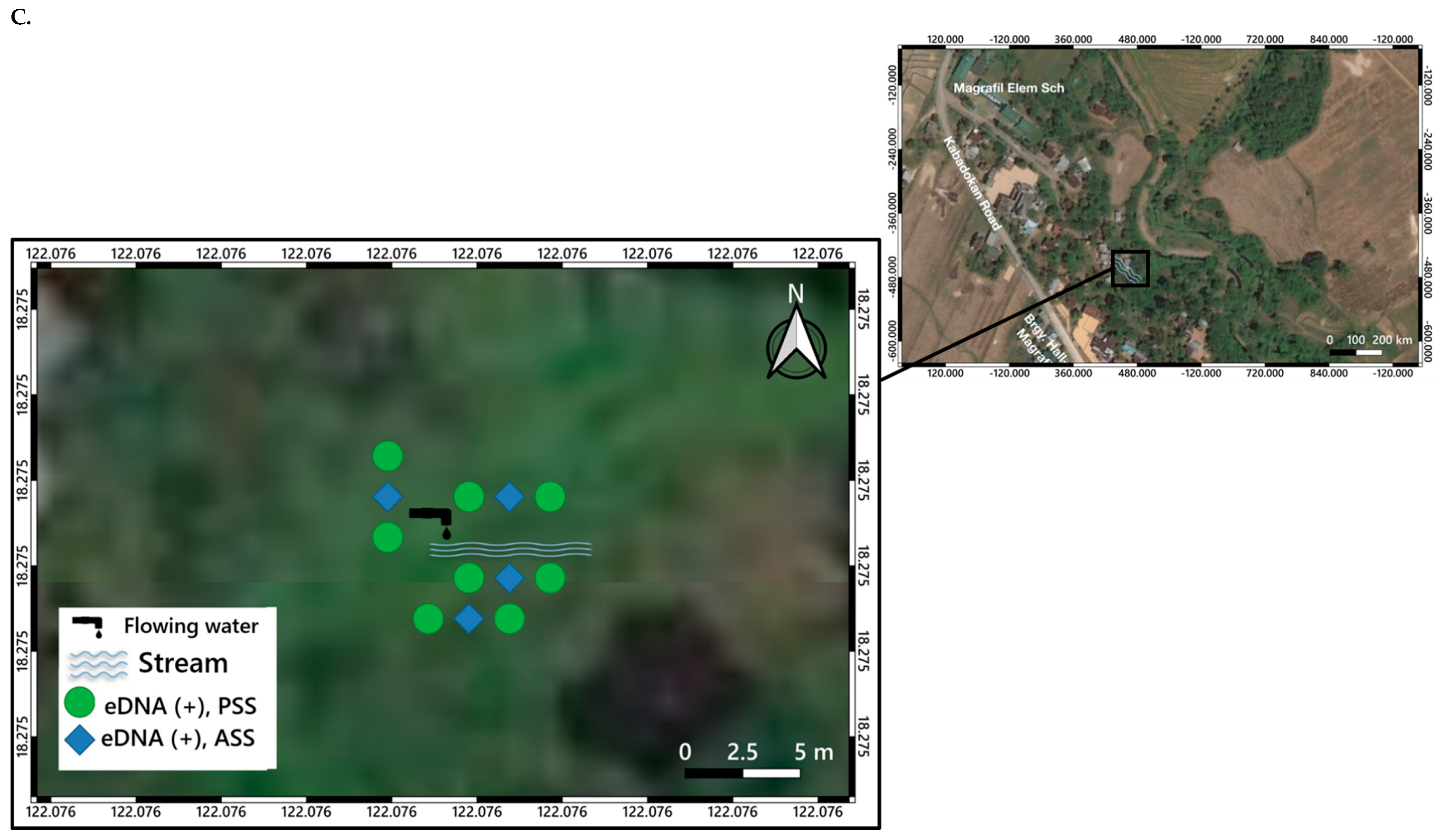 Pathogens 08 00160 g004c Pathogens 08 00160 g004c