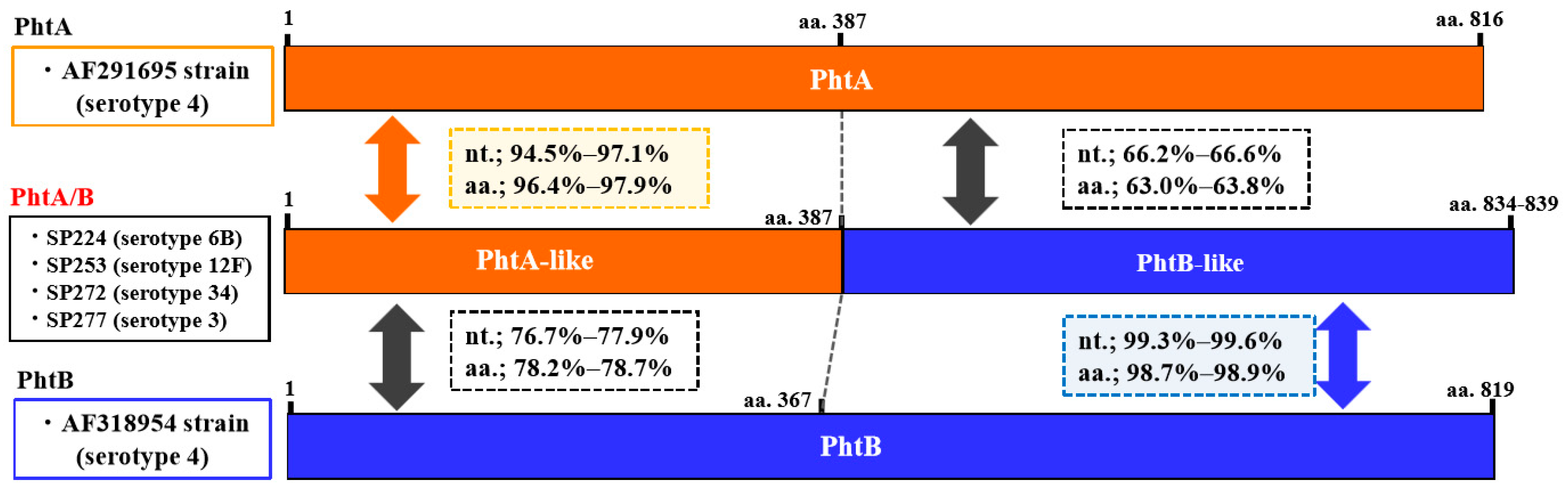 Pathogens 08 00162 g001 Pathogens 08 00162 g001