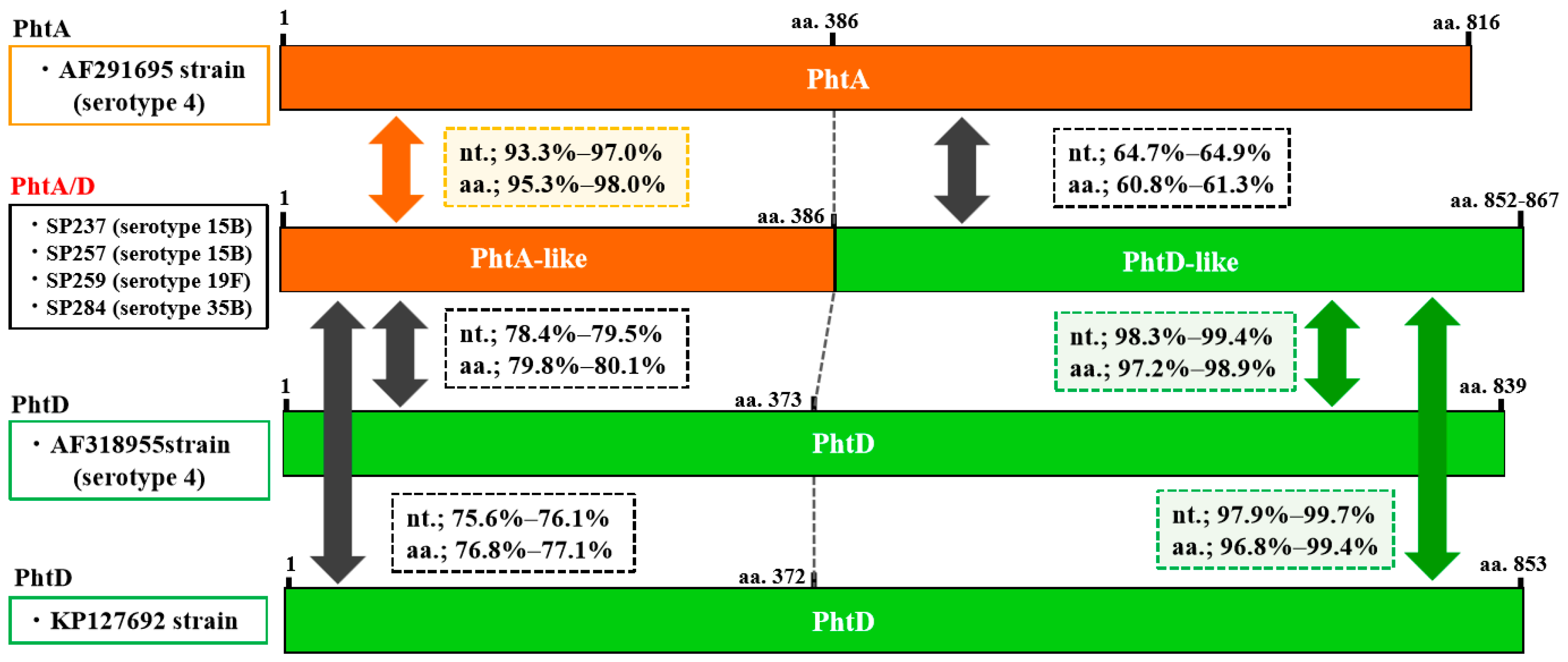 Pathogens 08 00162 g002 Pathogens 08 00162 g002