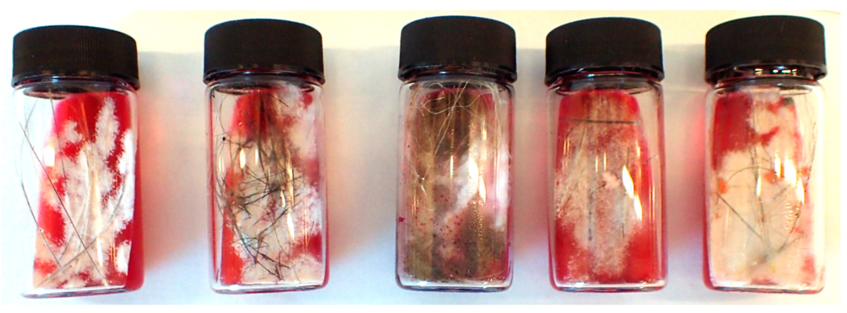 Pathogens 08 00171 g005