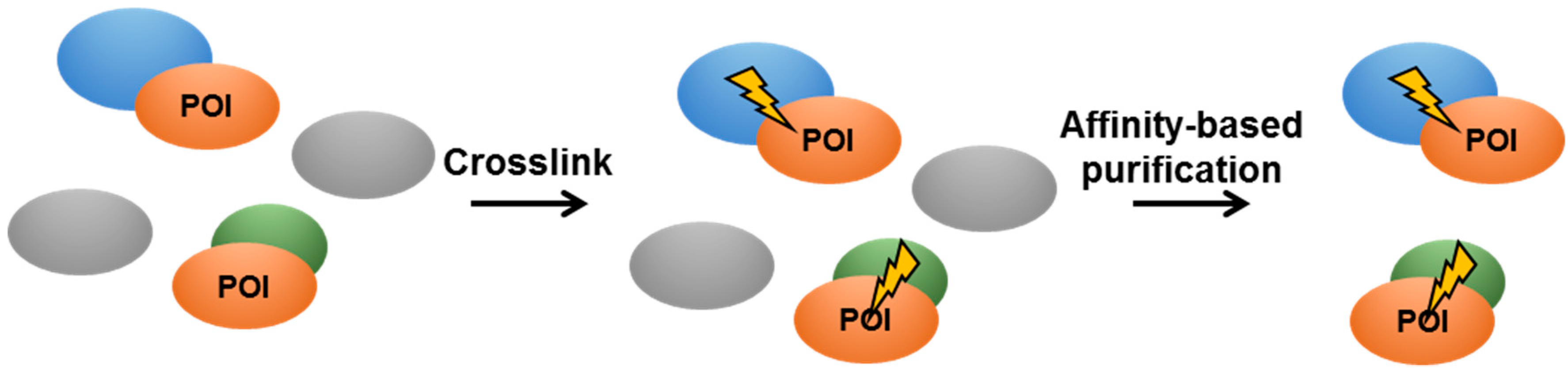 Pathogens 08 00173 g005