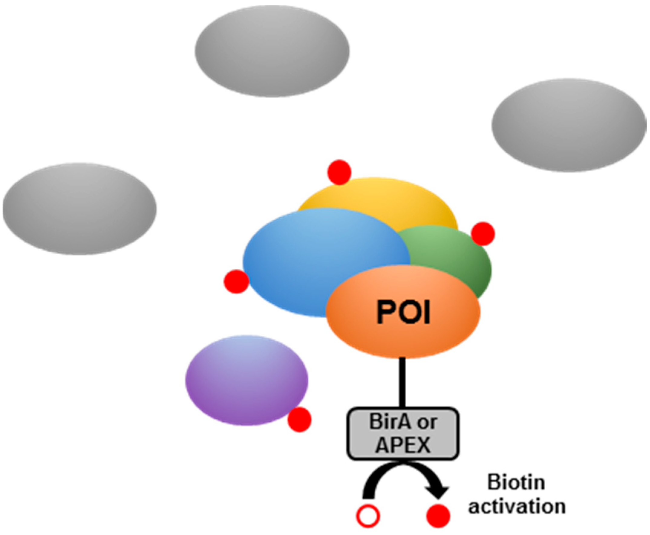 Pathogens 08 00173 g006