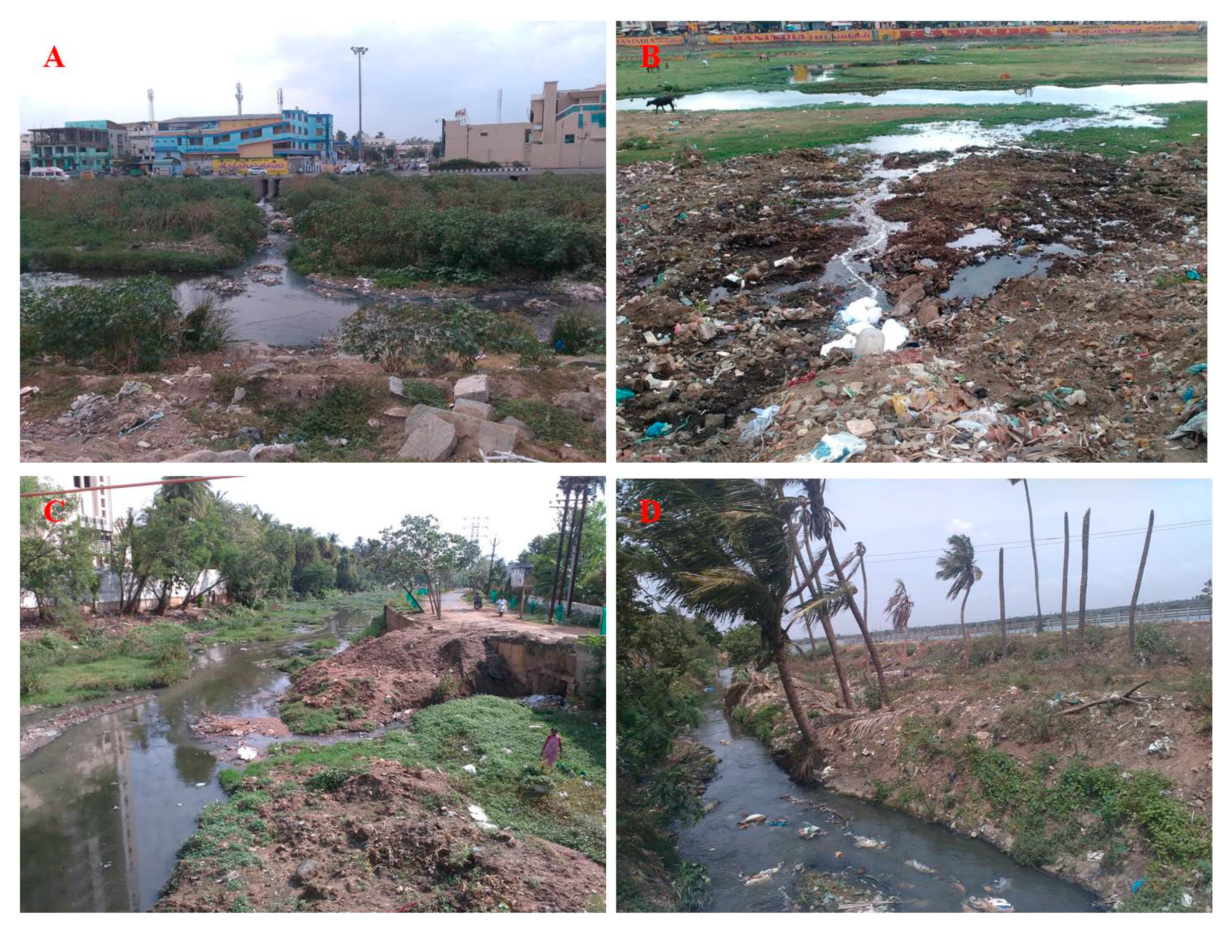 Pathogens 08 00174 g001 Pathogens 08 00174 g001