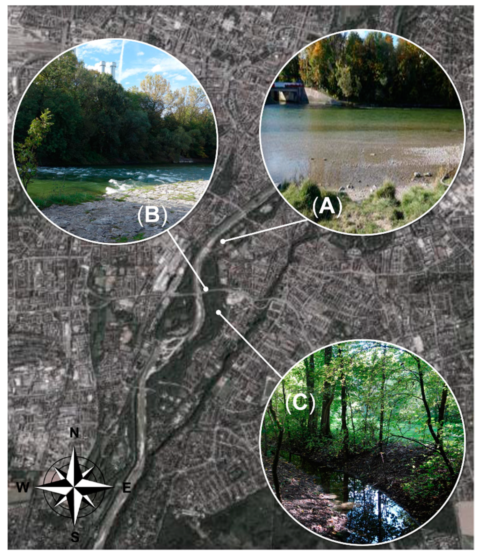 Pathogens 08 00177 g001