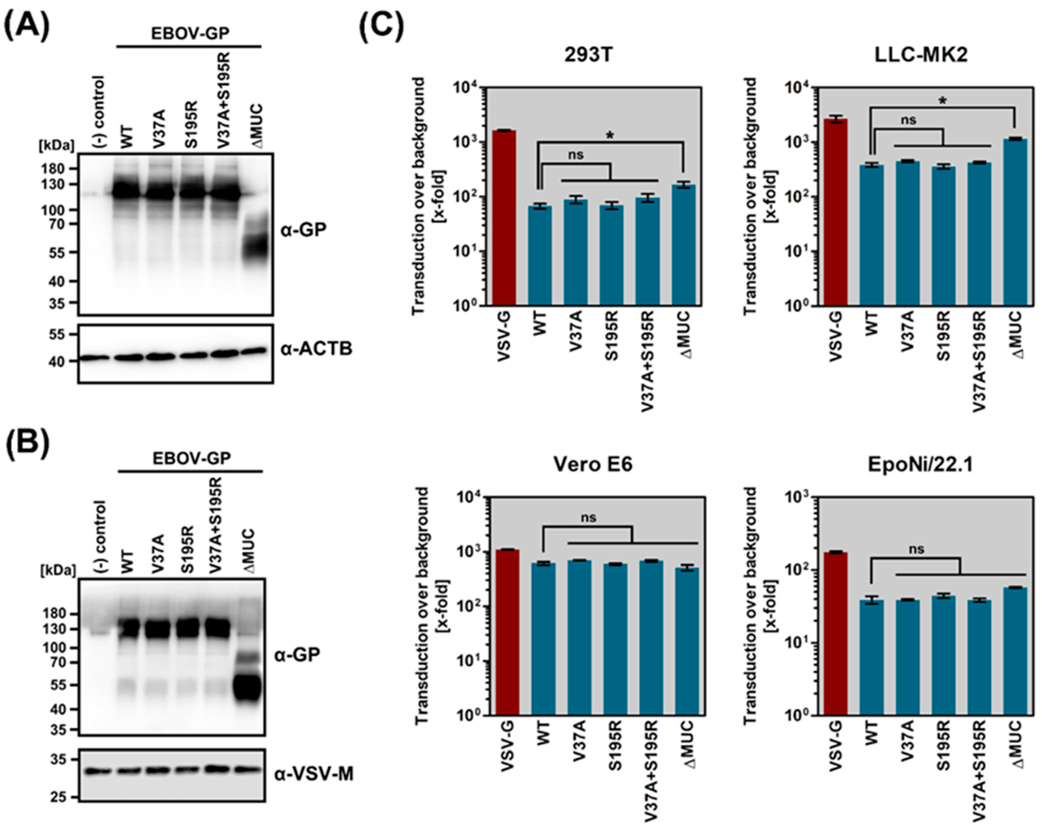 Pathogens 08 00192 g004 Pathogens 08 00192 g004
