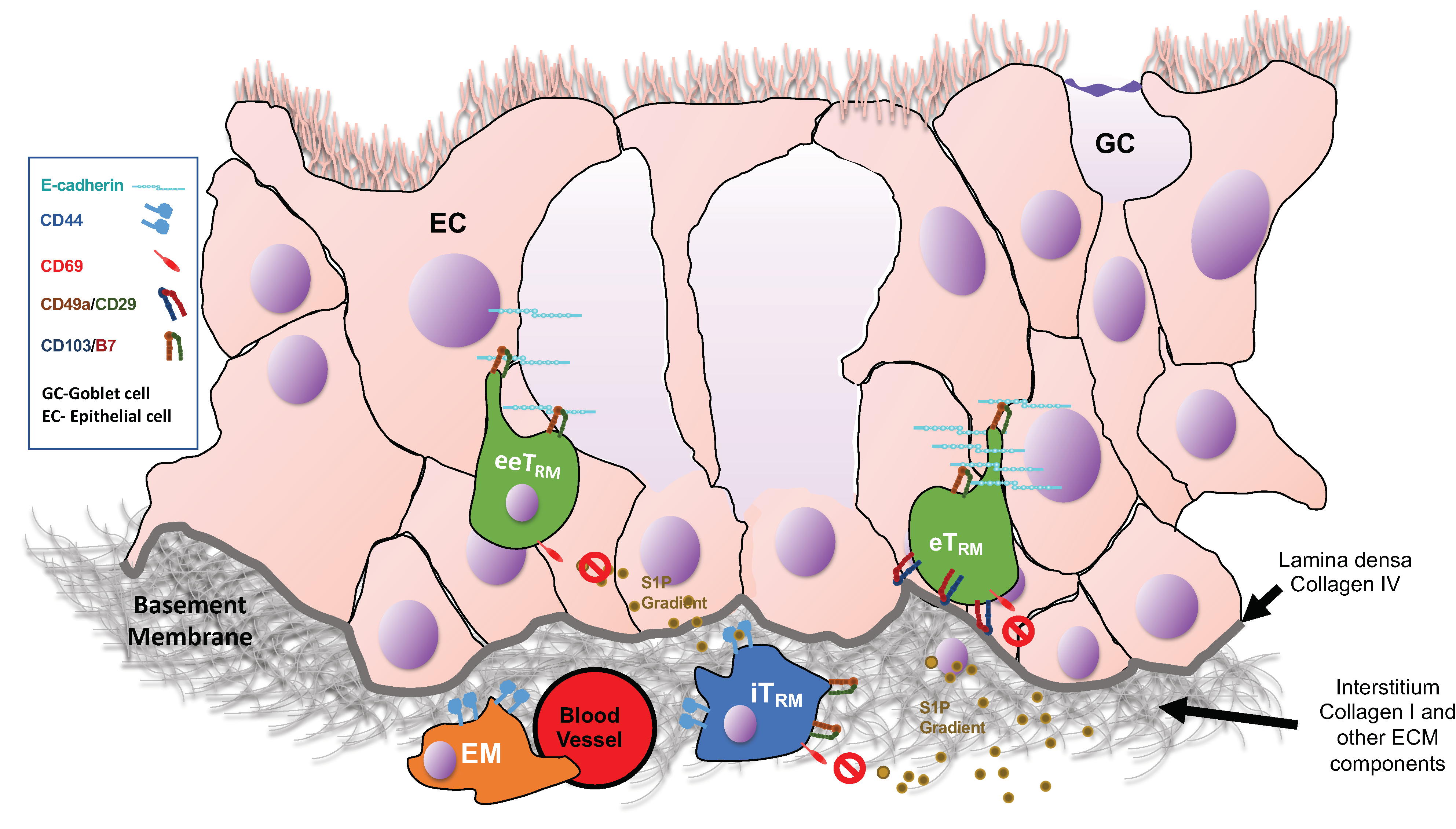 Pathogens 08 00196 g001