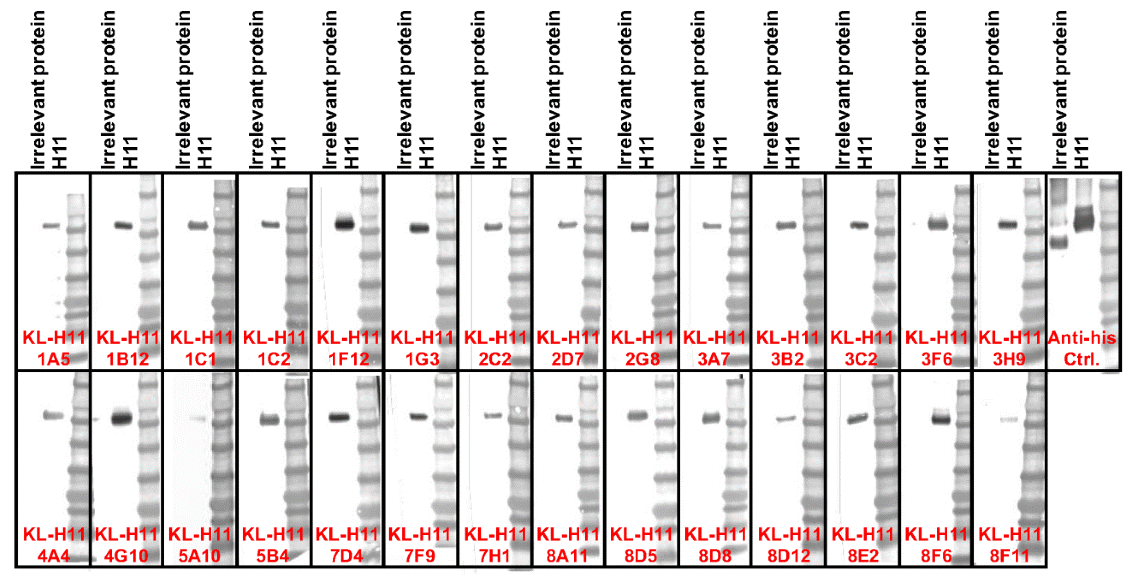 Pathogens 08 00199 g005