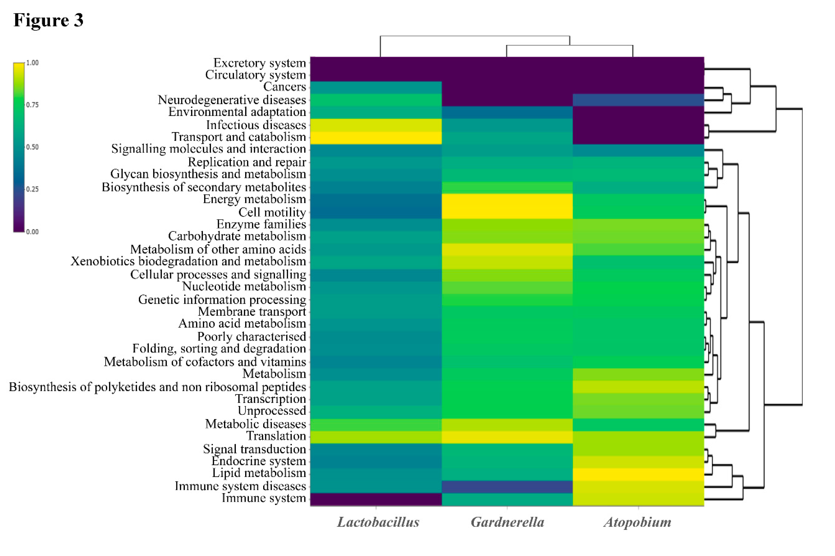 Pathogens 08 00205 g003 Pathogens 08 00205 g003