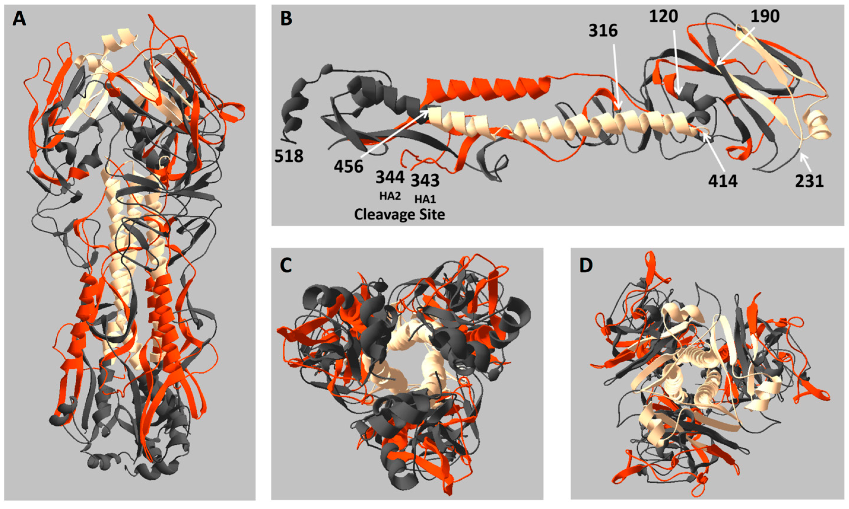 Pathogens 08 00220 g004 Pathogens 08 00220 g004
