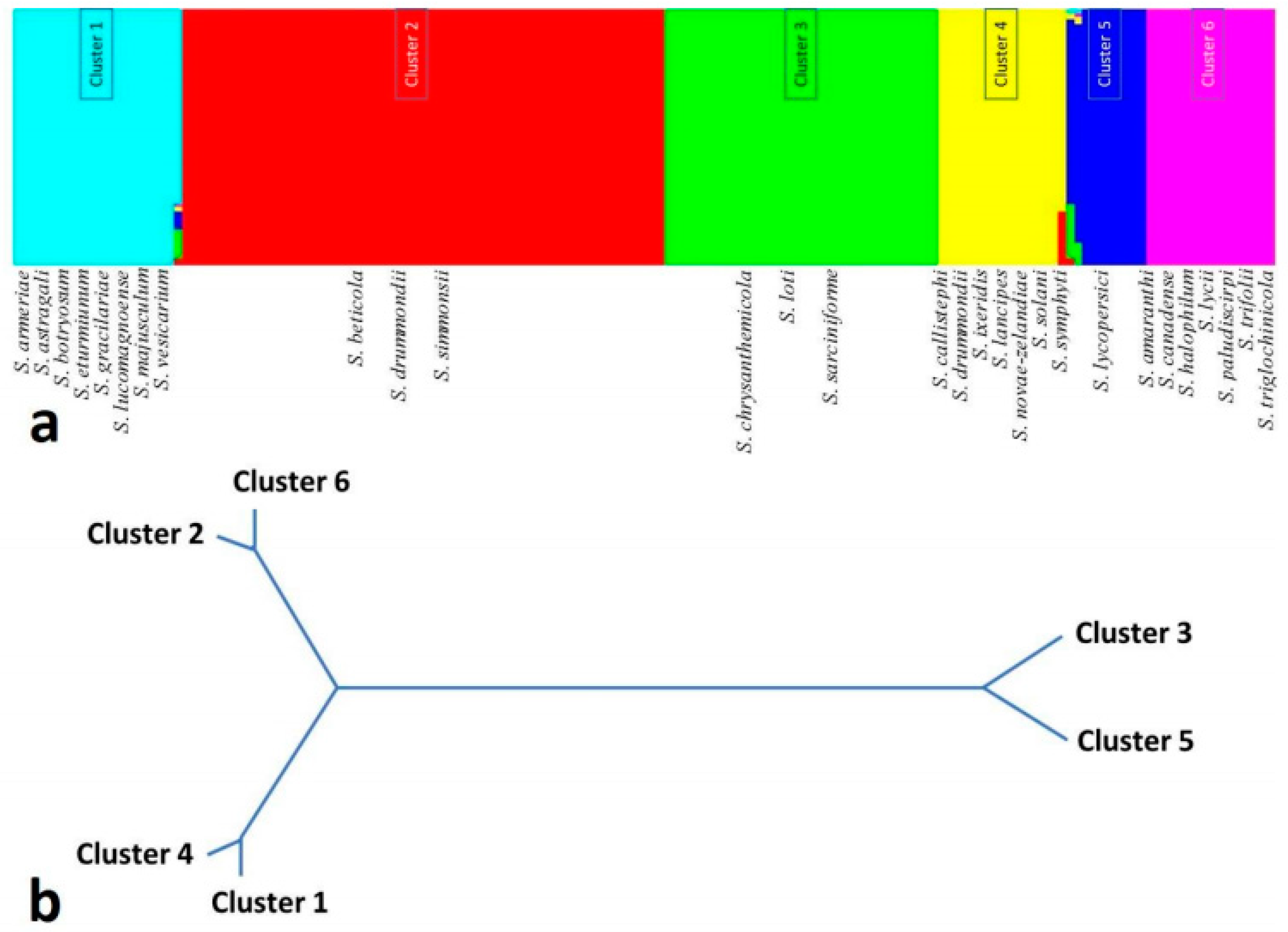 Pathogens 08 00225 g005