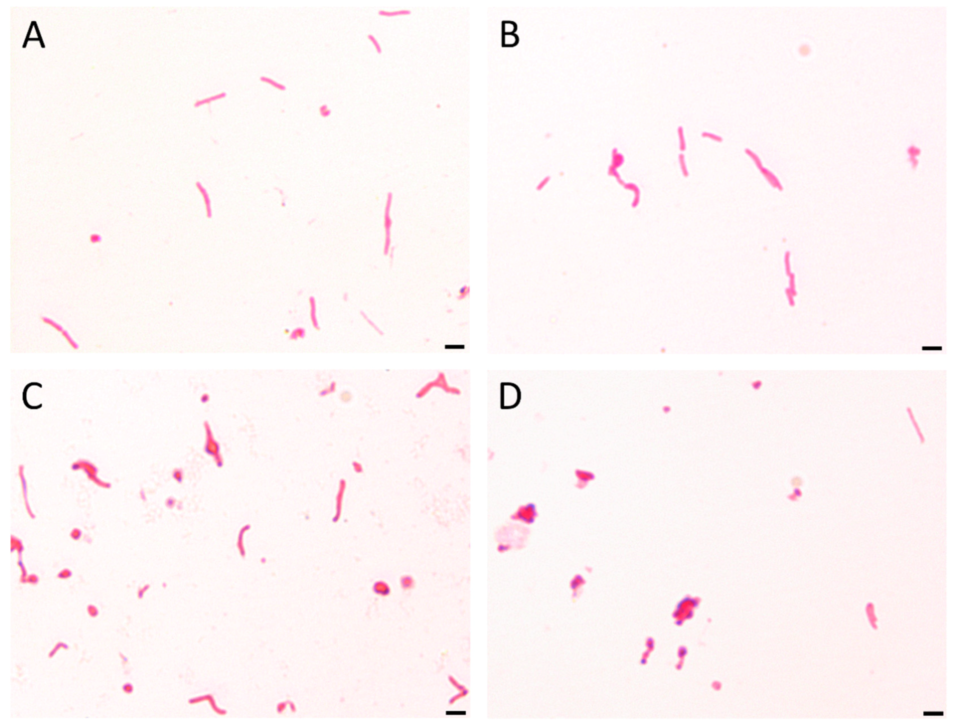 Pathogens 08 00228 g004