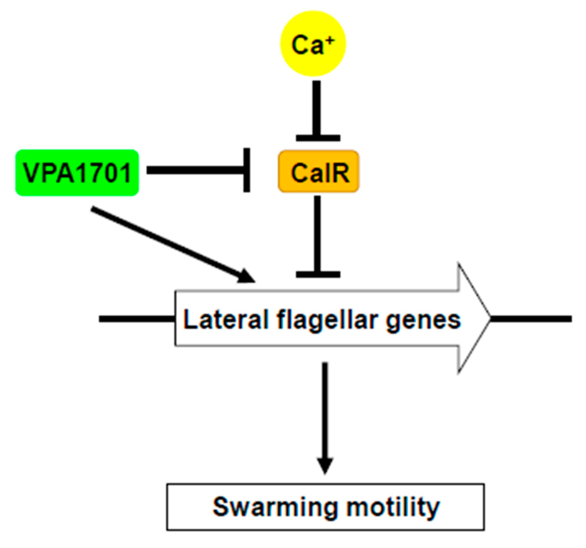 Pathogens 08 00235 g007
