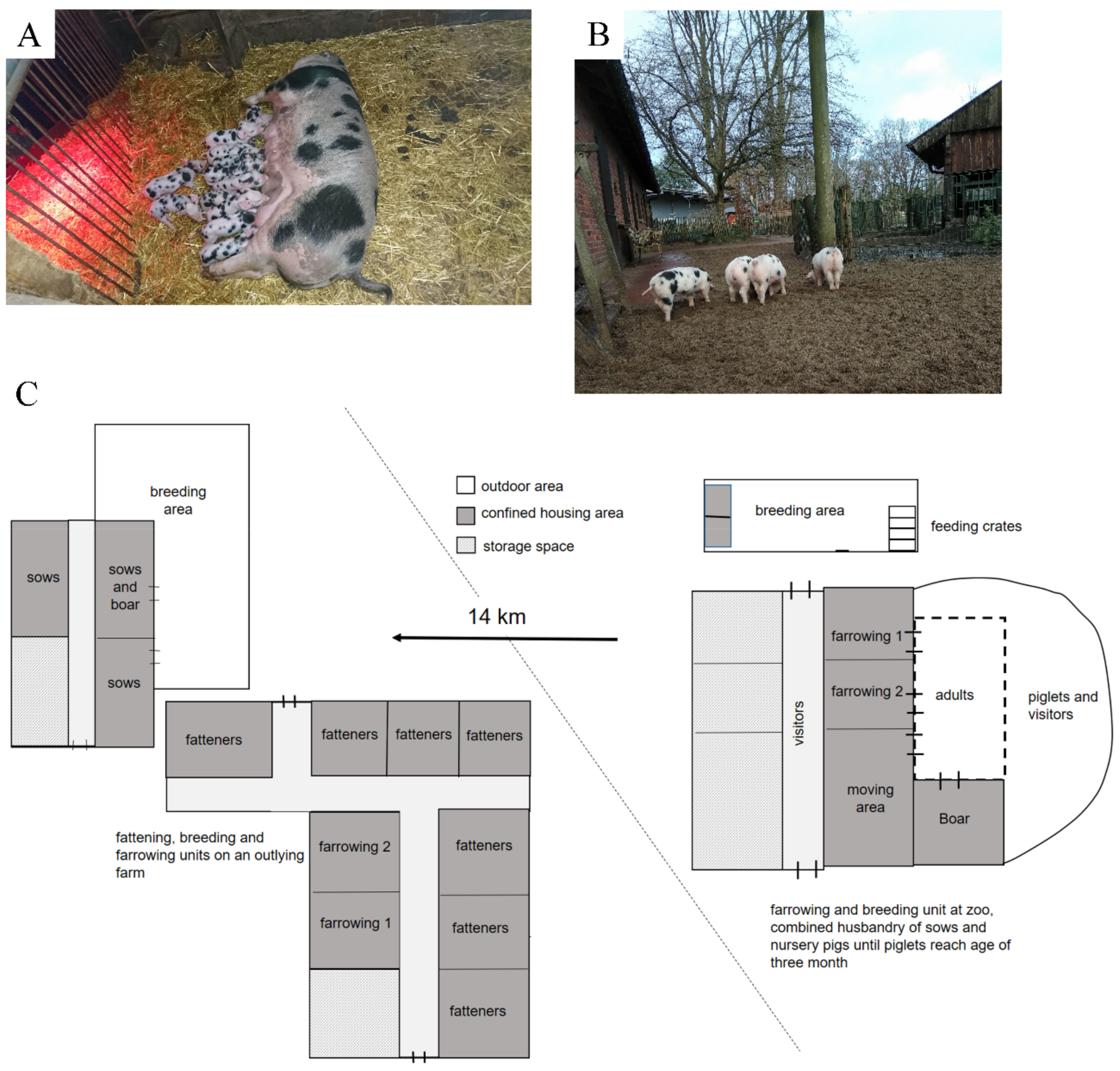Pathogens 08 00249 g001 Pathogens 08 00249 g001
