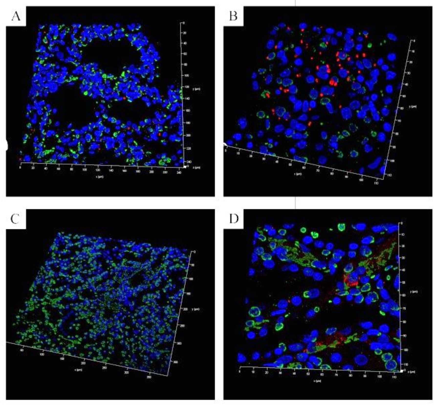 Pathogens 08 00249 g003 Pathogens 08 00249 g003