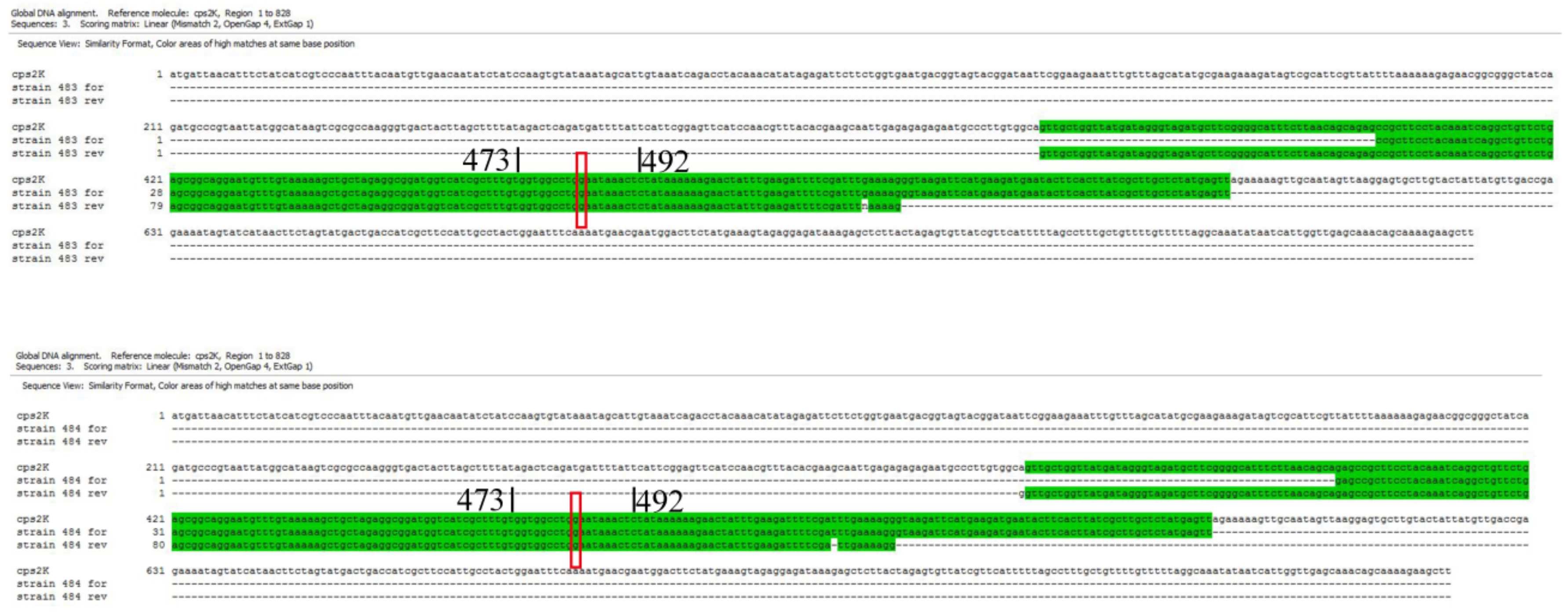 Pathogens 08 00249 g0a4 Pathogens 08 00249 g0a4