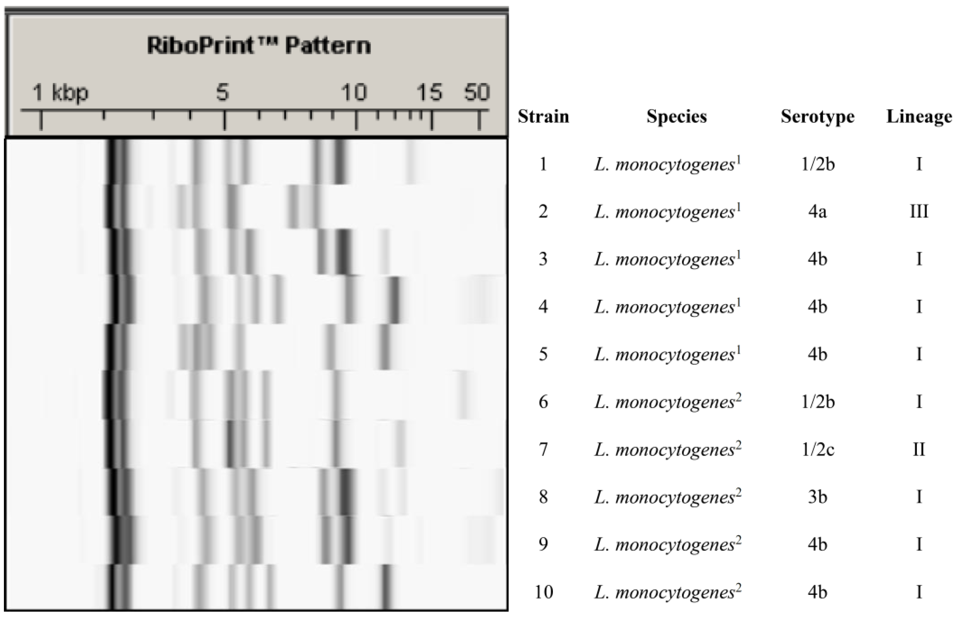 Pathogens 08 00250 g001 Pathogens 08 00250 g001