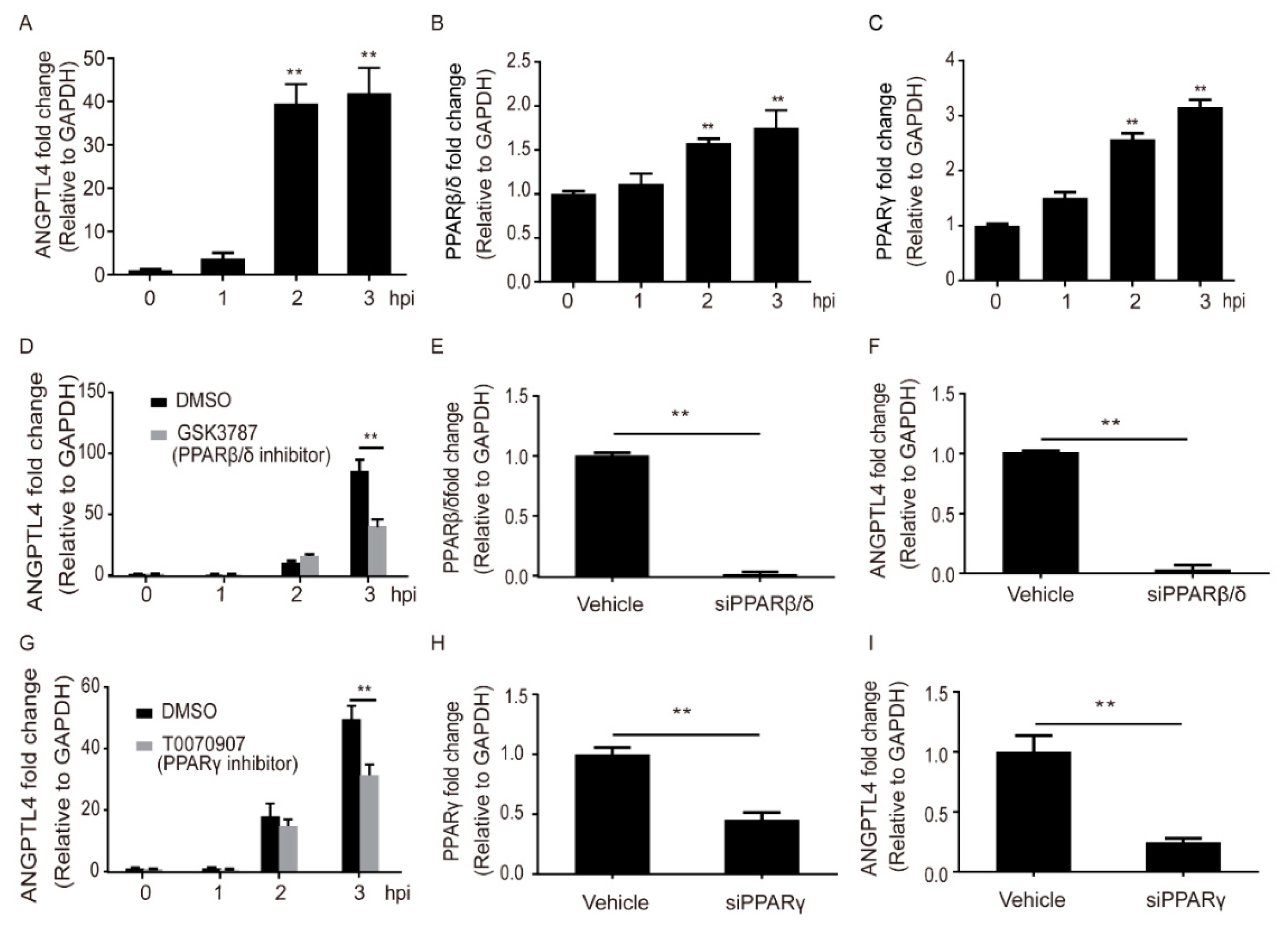 Pathogens 08 00254 g002 Pathogens 08 00254 g002