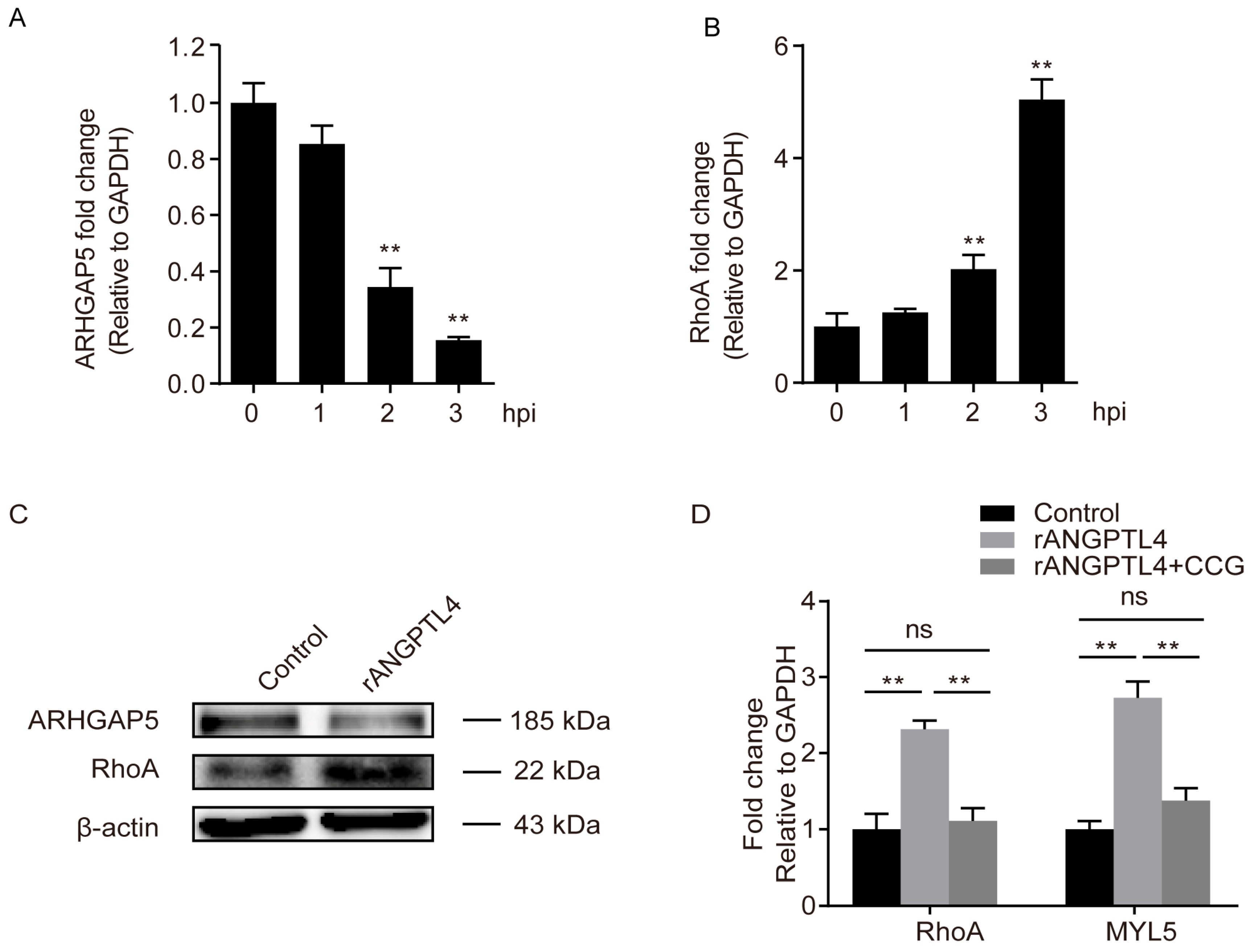 Pathogens 08 00254 g006 Pathogens 08 00254 g006