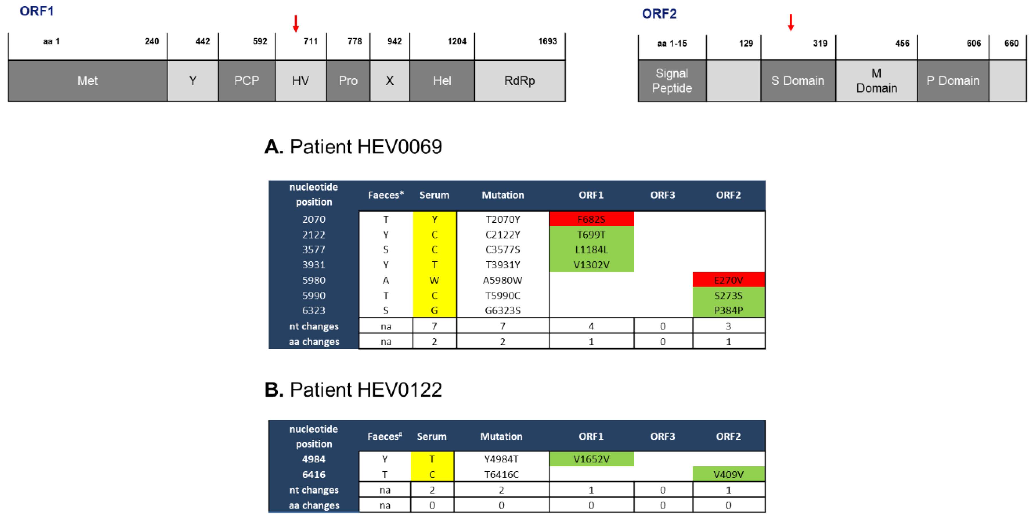 Pathogens 08 00255 g002