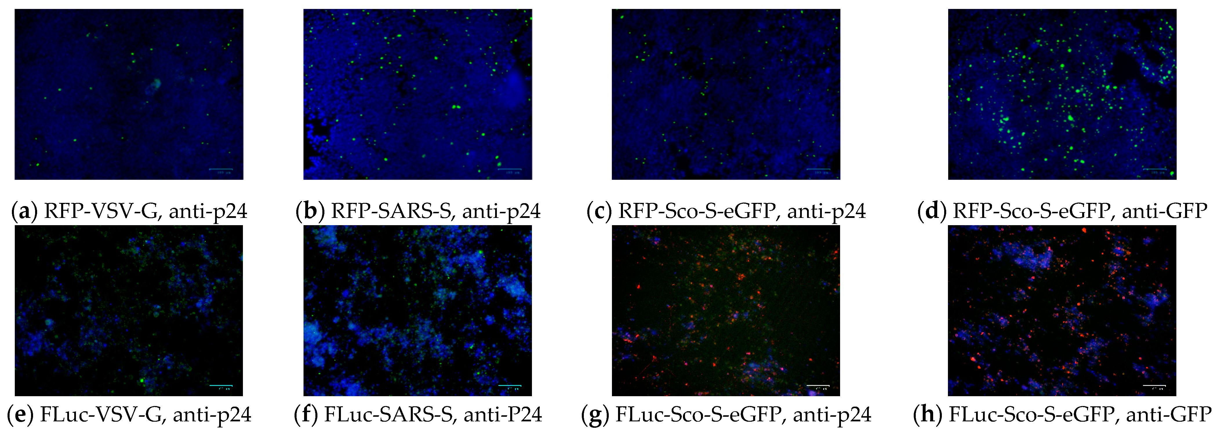 Pathogens 08 00259 g003 Pathogens 08 00259 g003