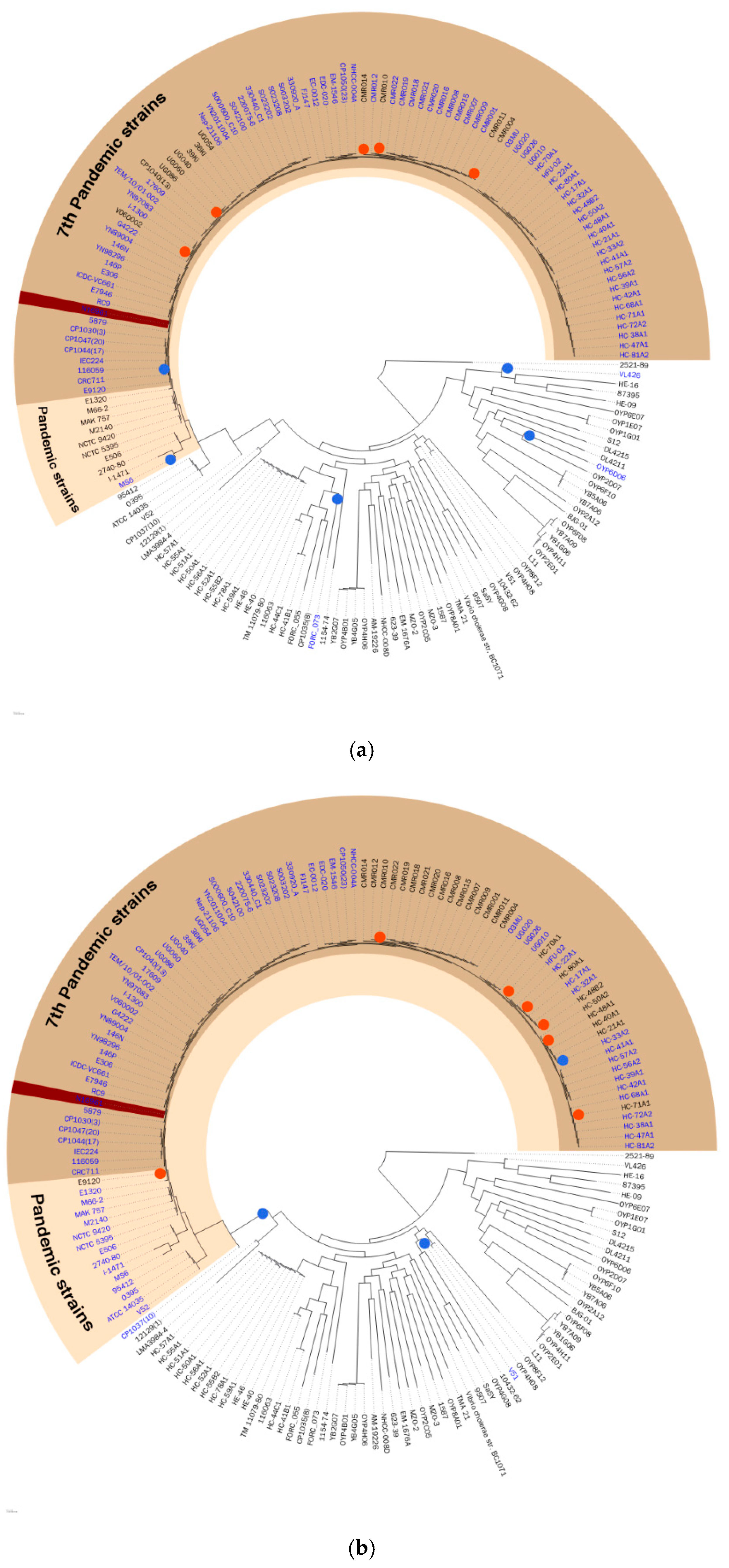 Pathogens 08 00261 g002