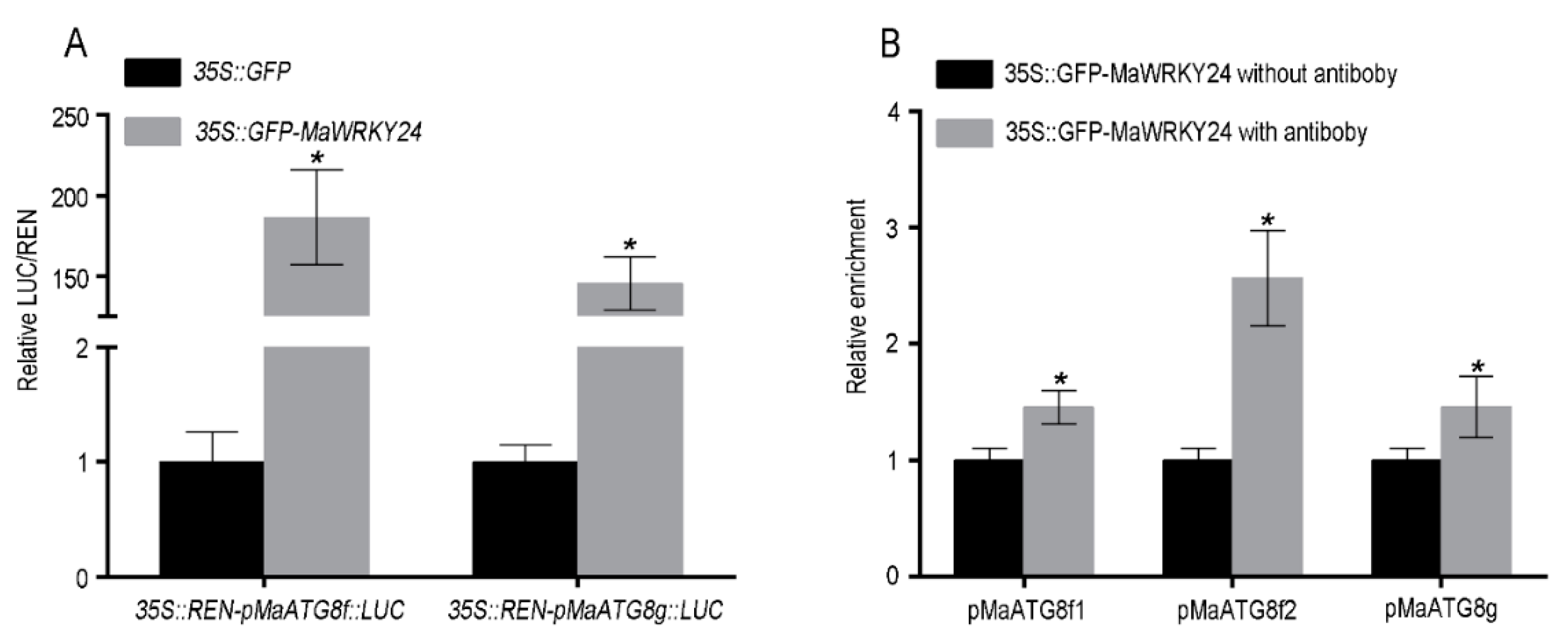 Pathogens 08 00264 g006 Pathogens 08 00264 g006