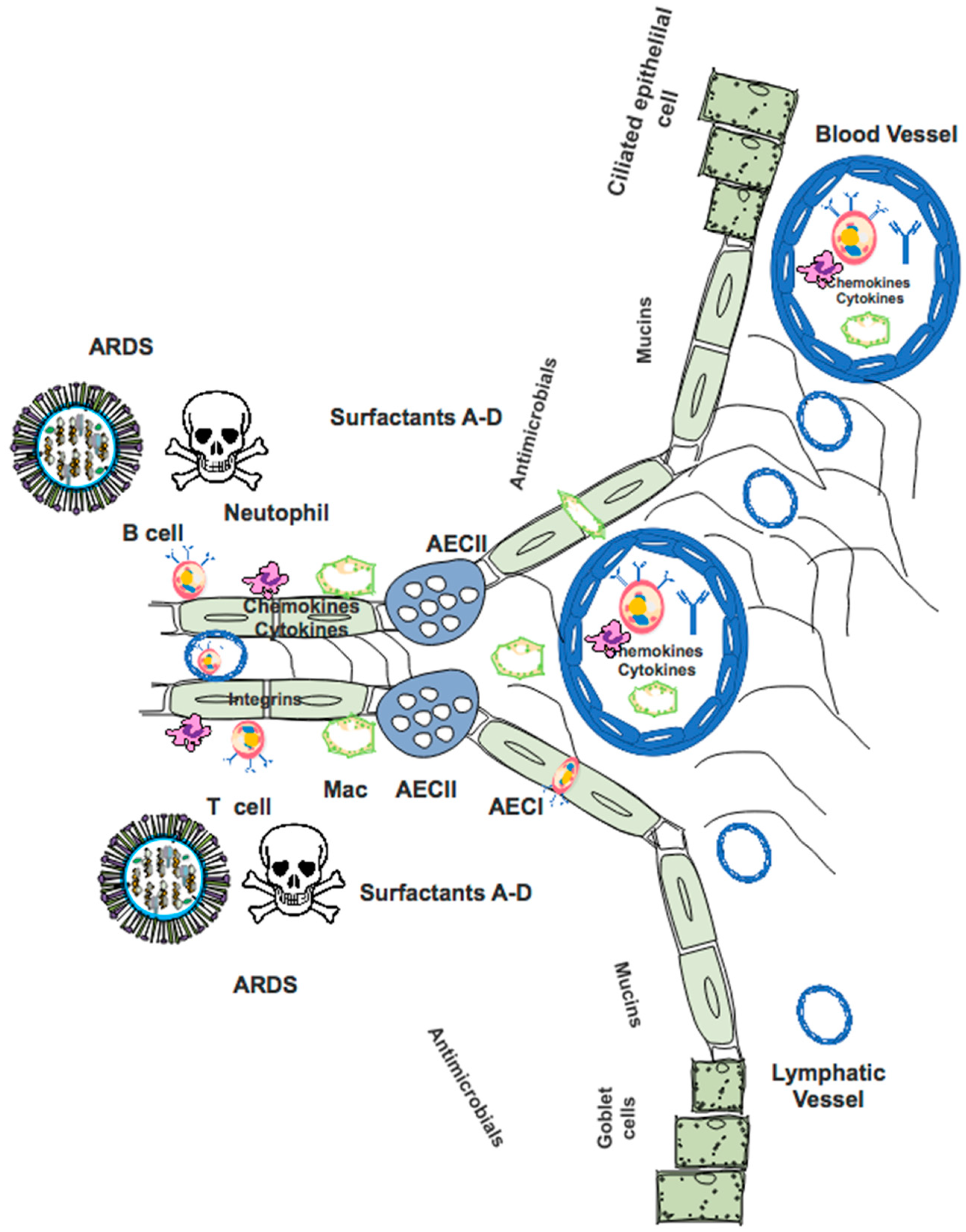 Pathogens 08 00265 g002 Pathogens 08 00265 g002