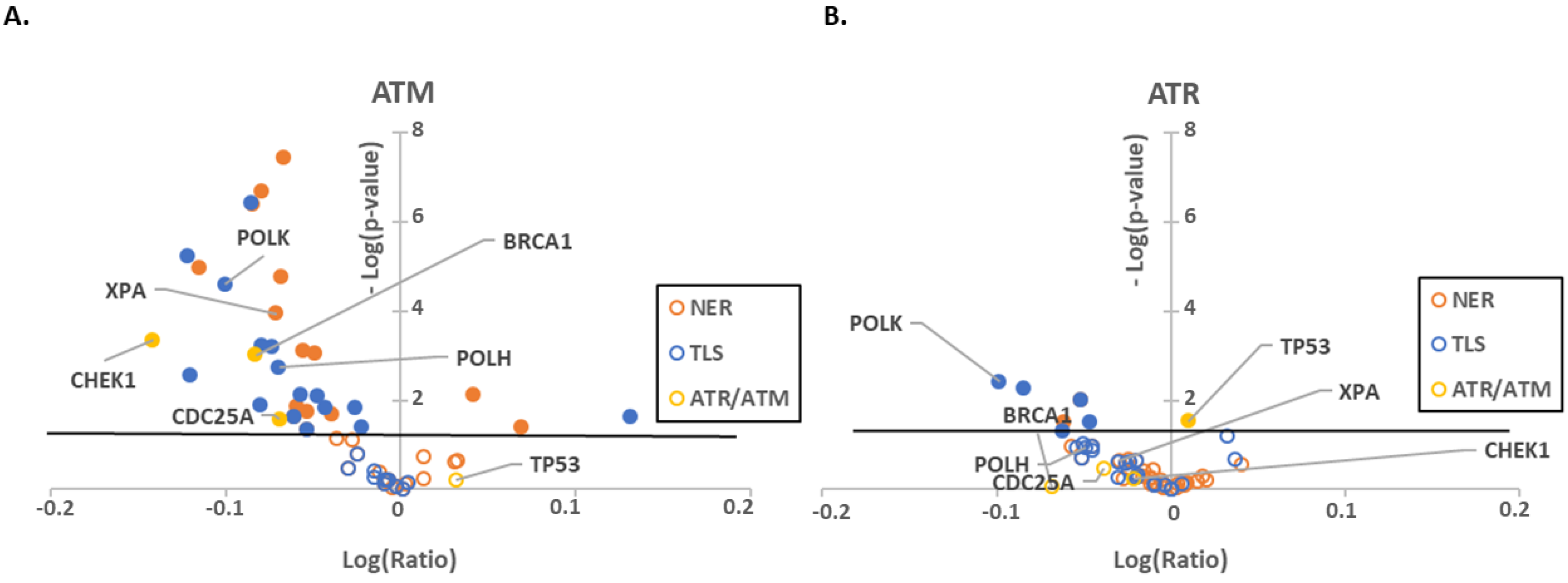 Pathogens 08 00267 g001